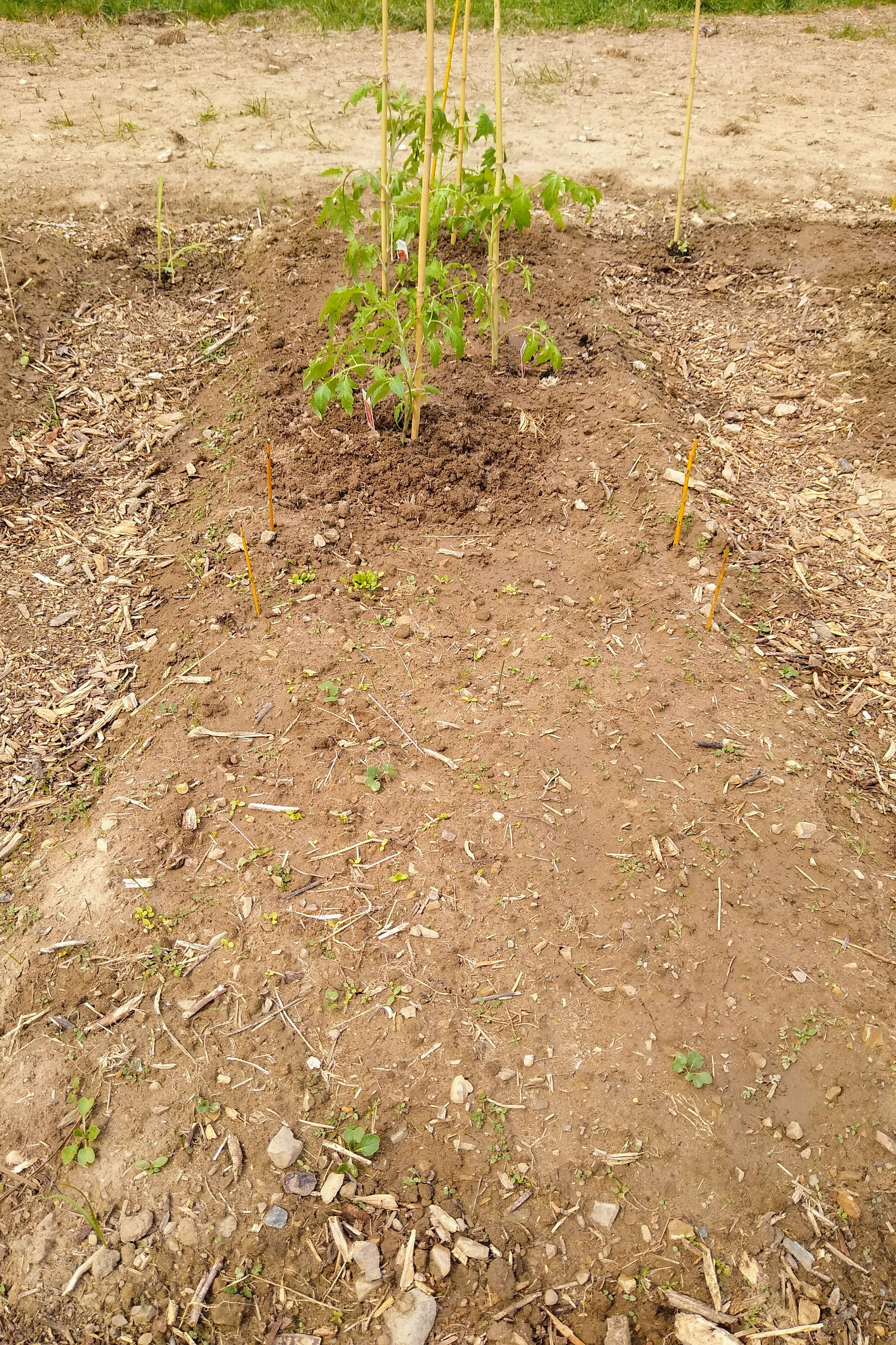 May. Kiki-Niki-Cha! Learn, play, and discover with us!