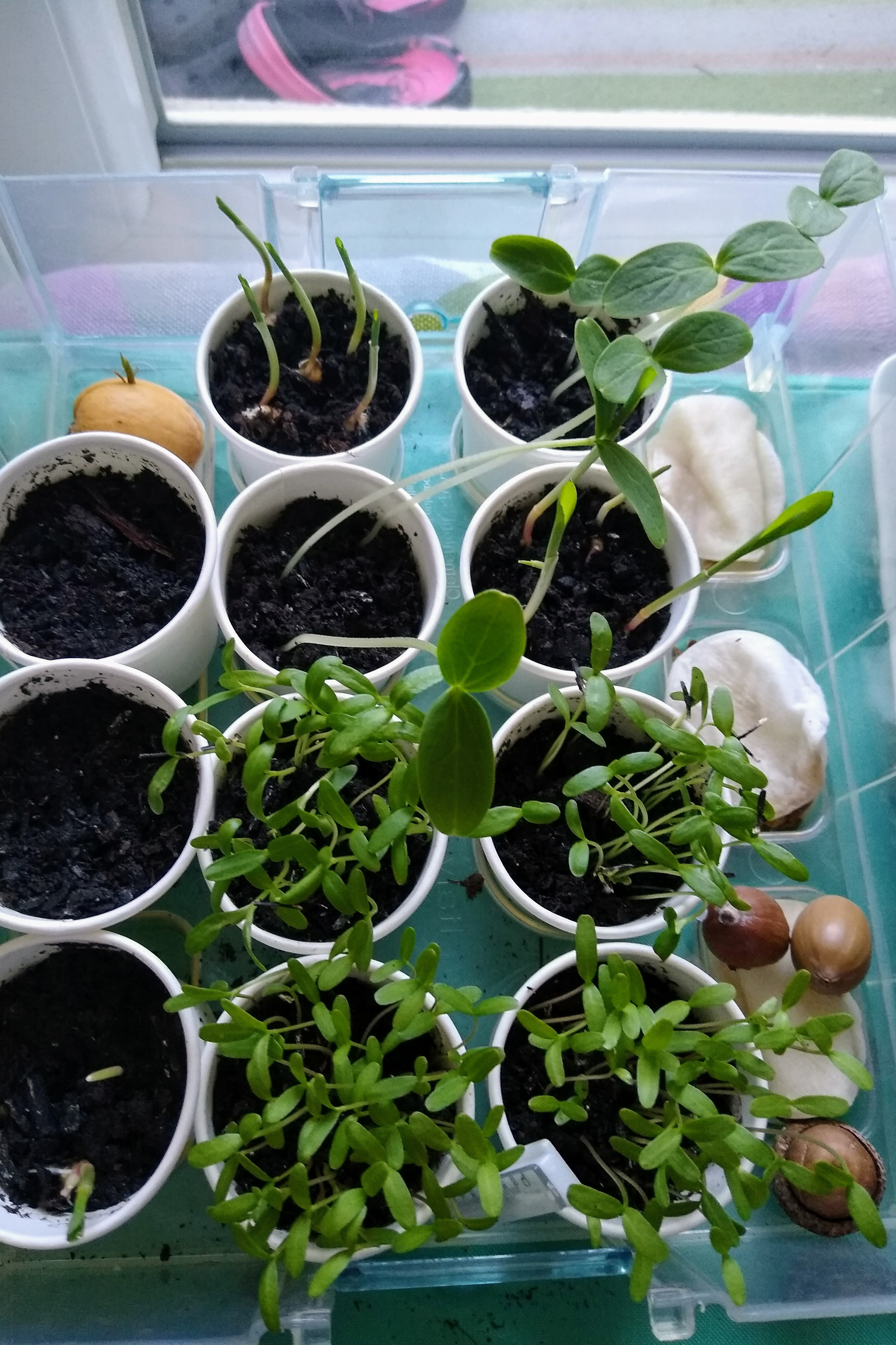 April. Kiki-Niki-Cha! Learn, play, and discover with us!