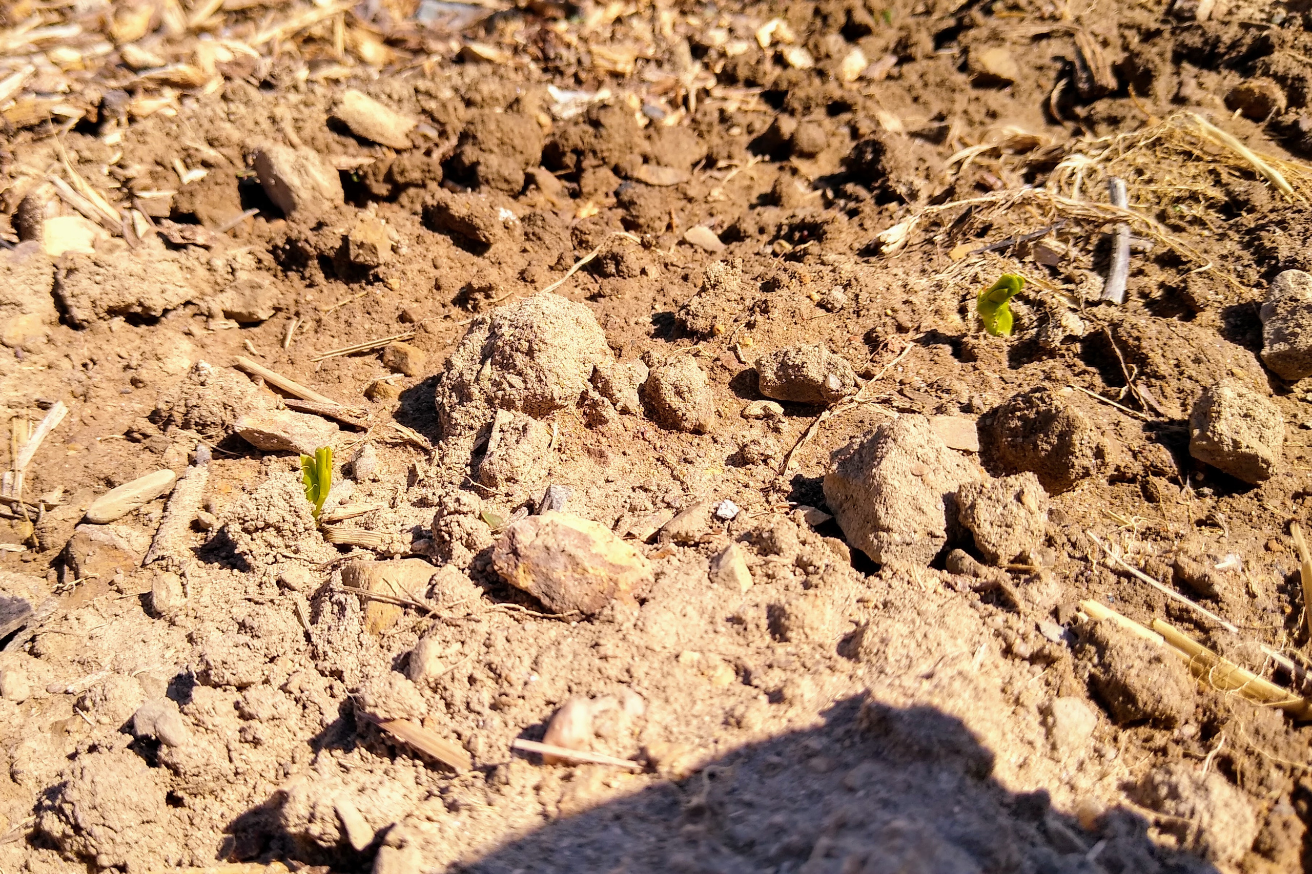 April. Kiki-Niki-Cha! Learn, play, and discover with us!