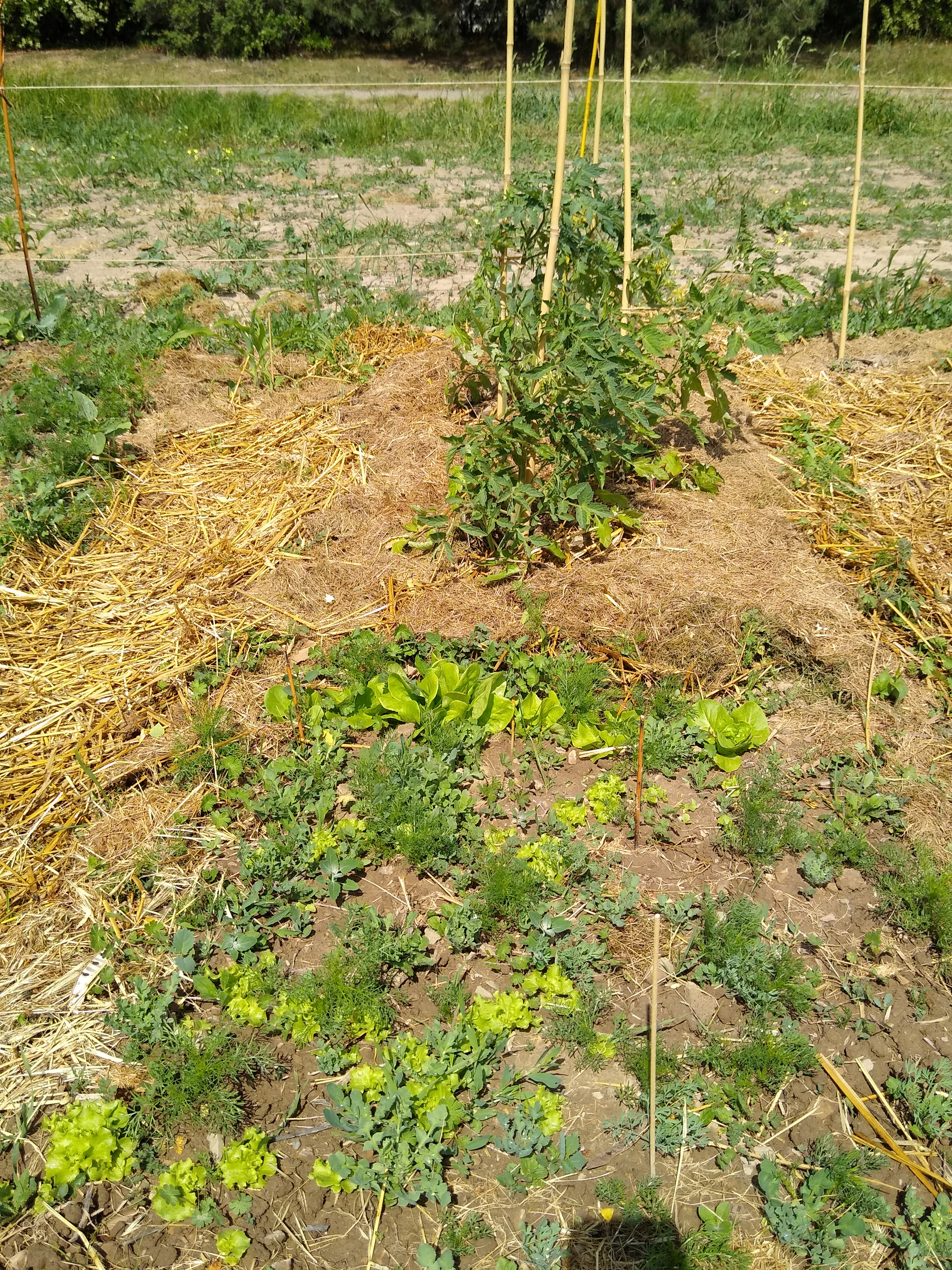 May. Kiki-Niki-Cha! Learn, play, and discover with us!