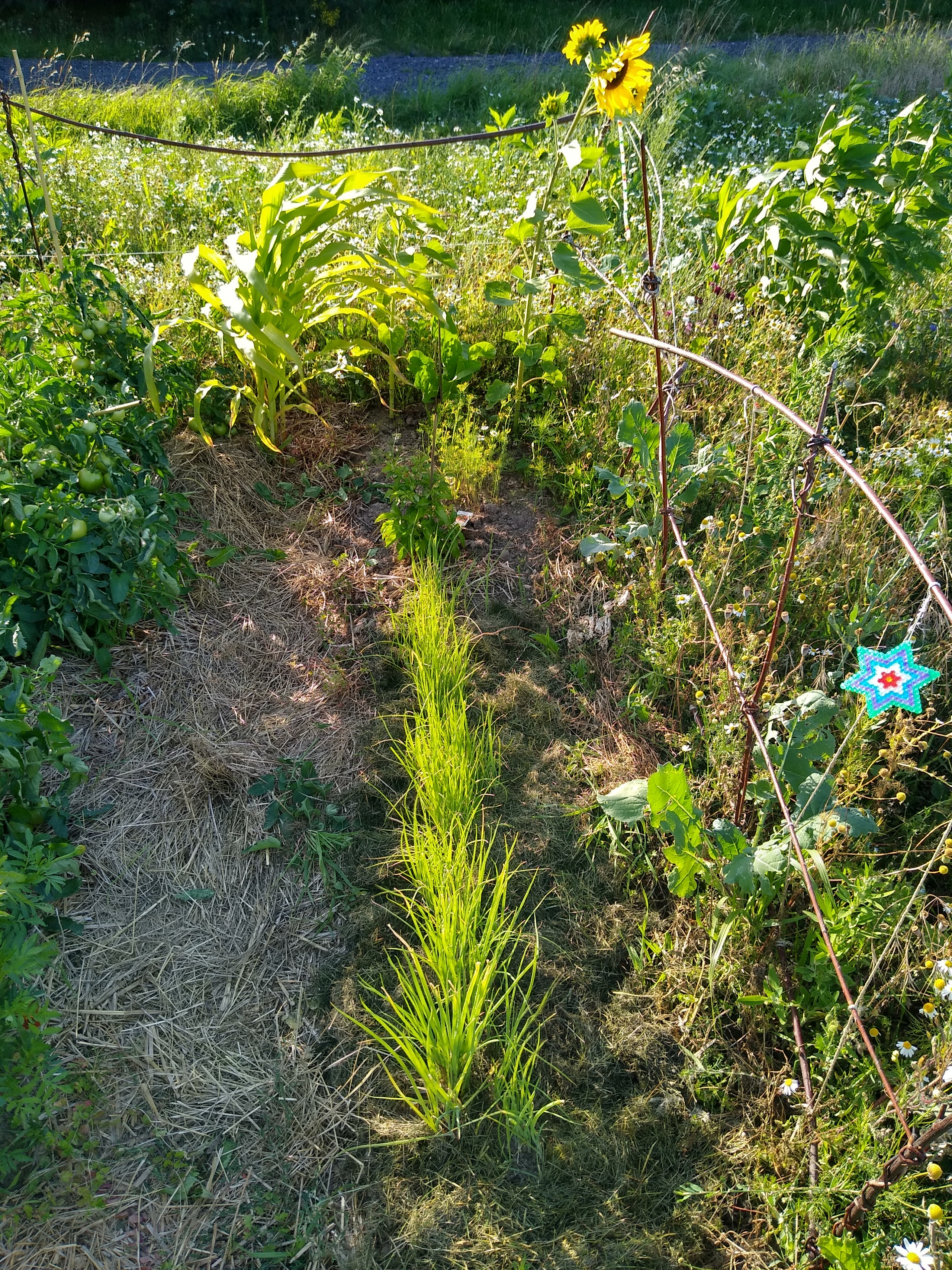 July. Kiki-Niki-Cha! Learn, play, and discover with us!