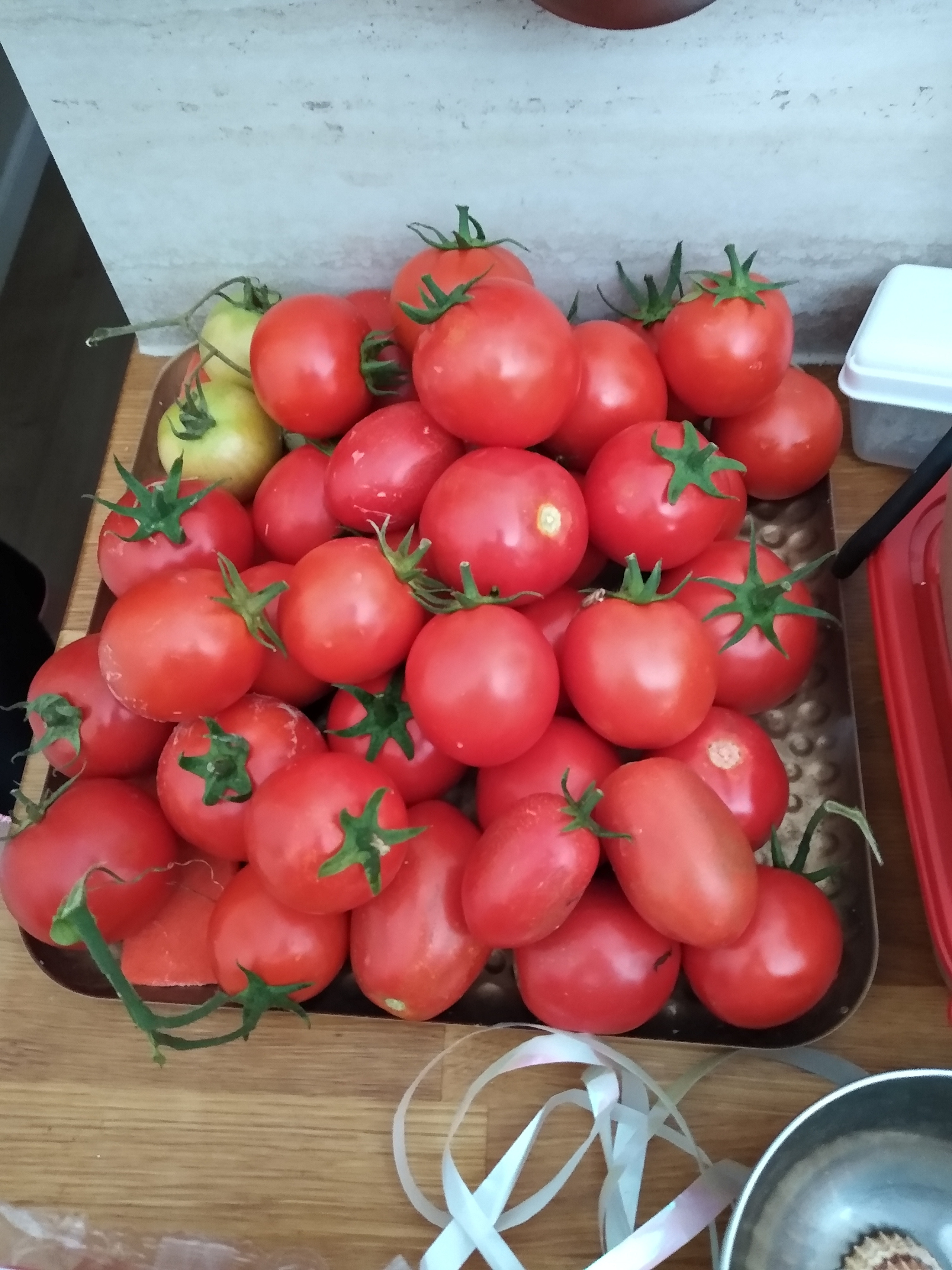 July. Kiki-Niki-Cha! Learn, play, and discover with us!