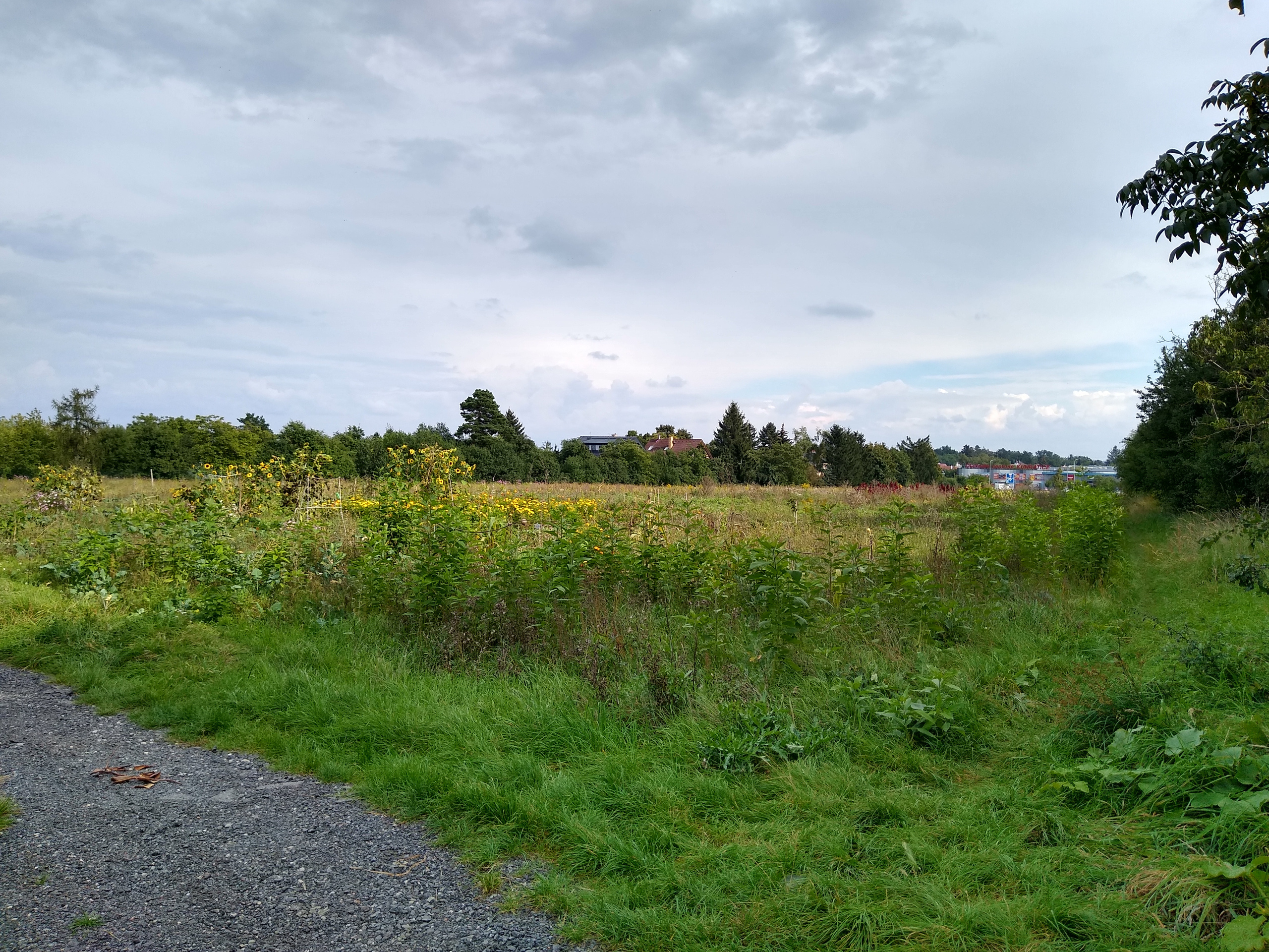 September. Kiki-Niki-Cha! Learn, play, and discover with us!