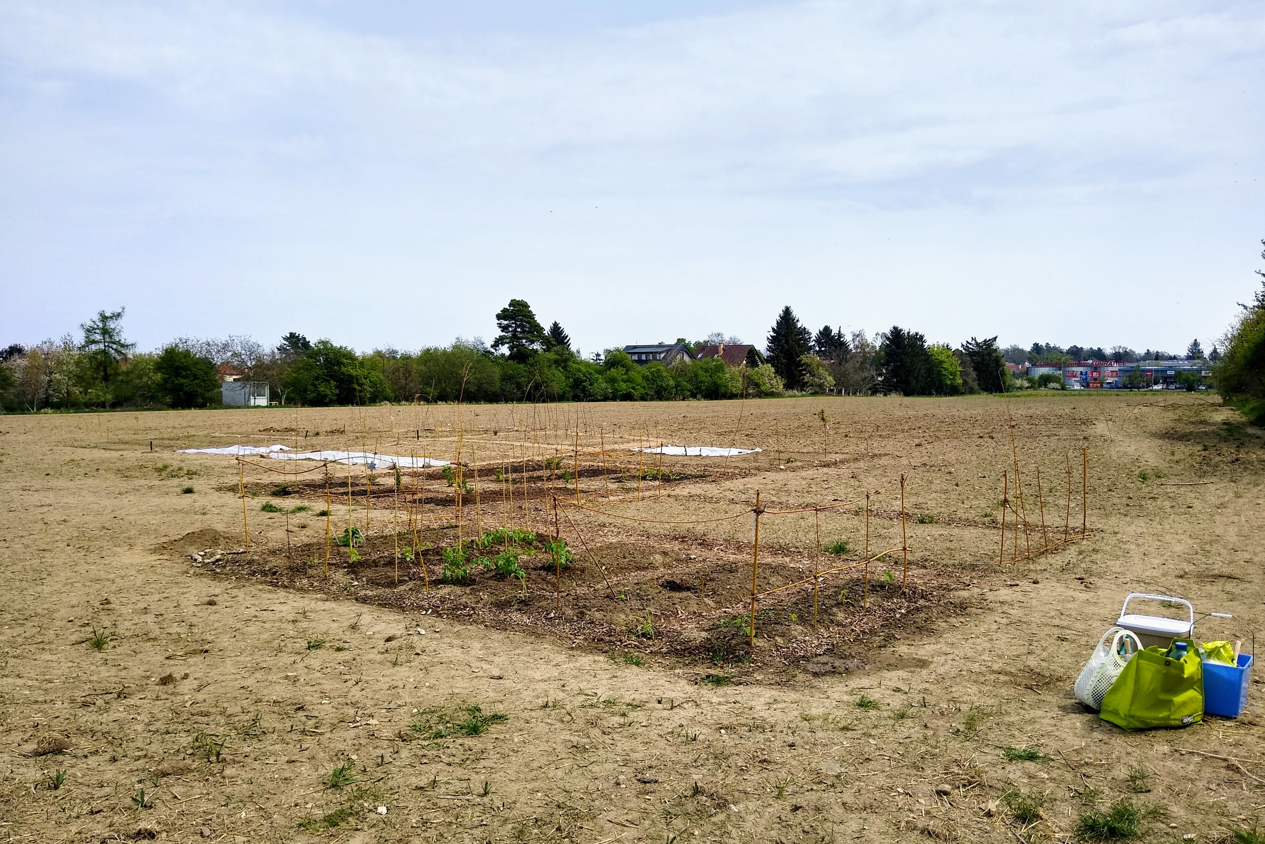 May. Kiki-Niki-Cha! Learn, play, and discover with us!