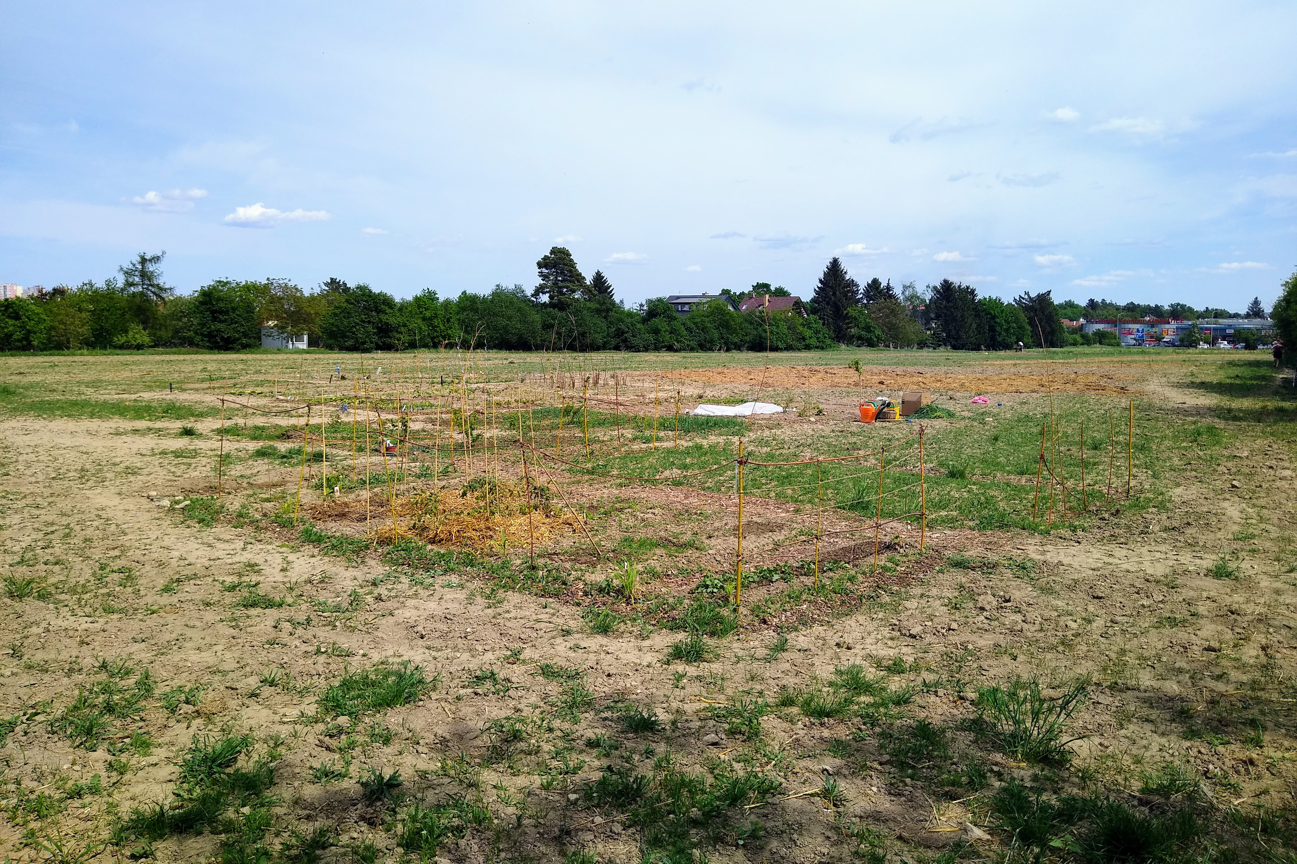 May. Kiki-Niki-Cha! Learn, play, and discover with us!