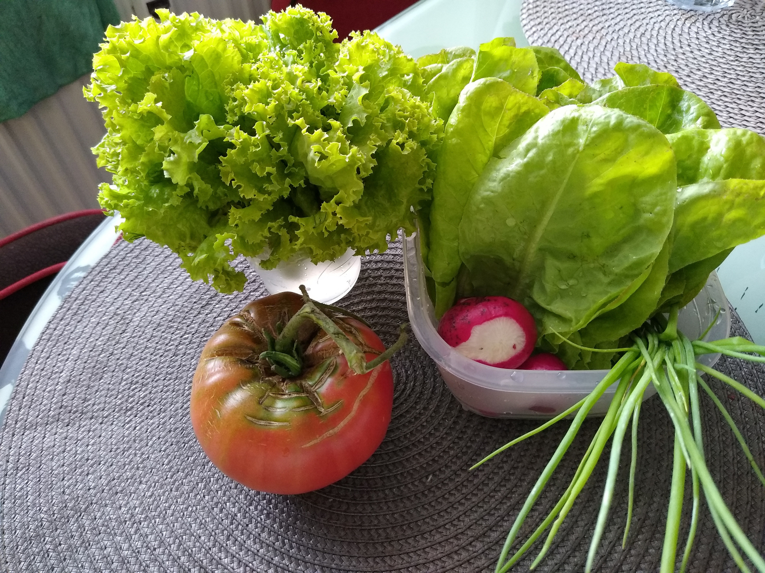 July. Kiki-Niki-Cha! Learn, play, and discover with us!