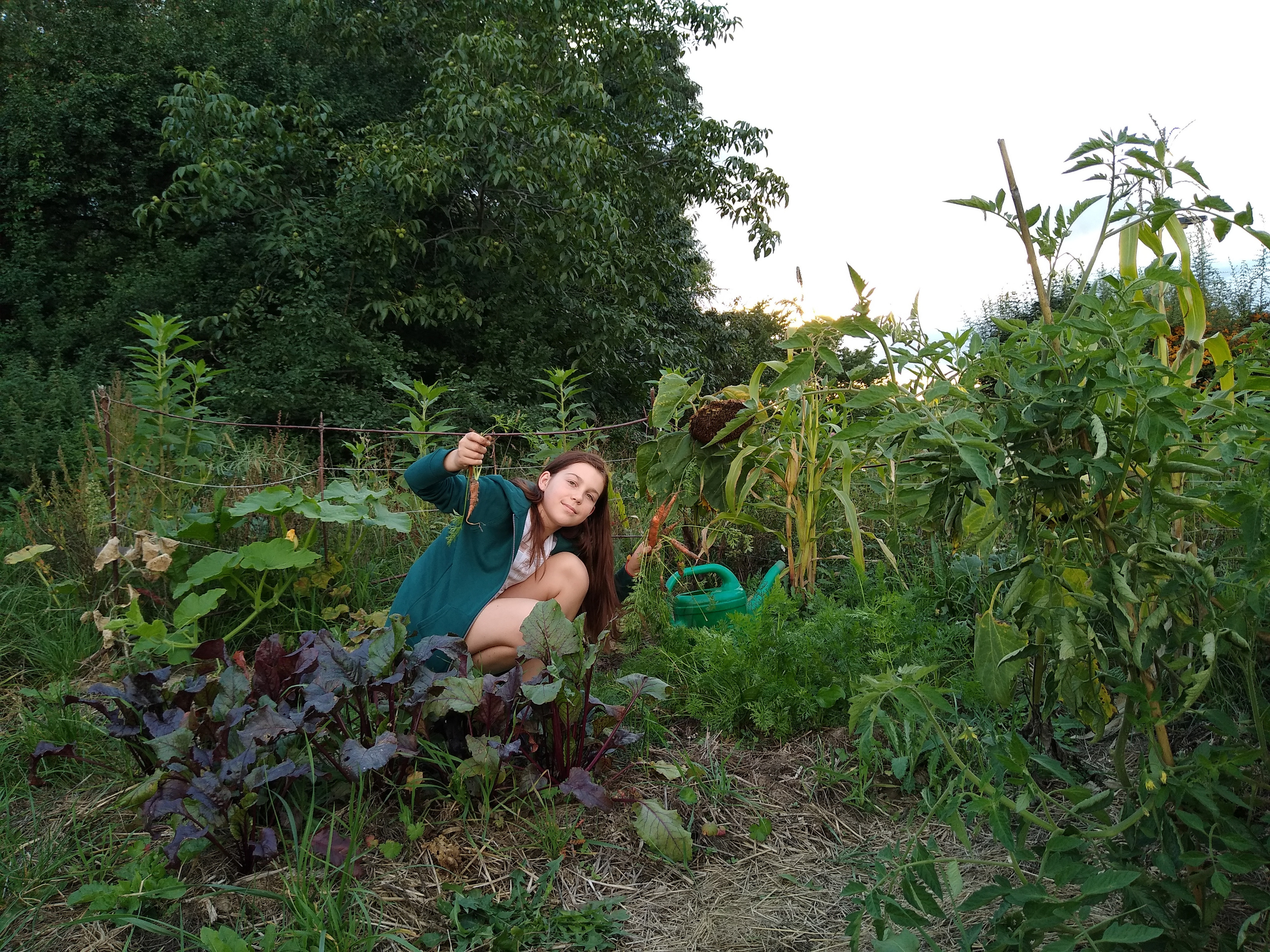 September. Kiki-Niki-Cha! Learn, play, and discover with us!