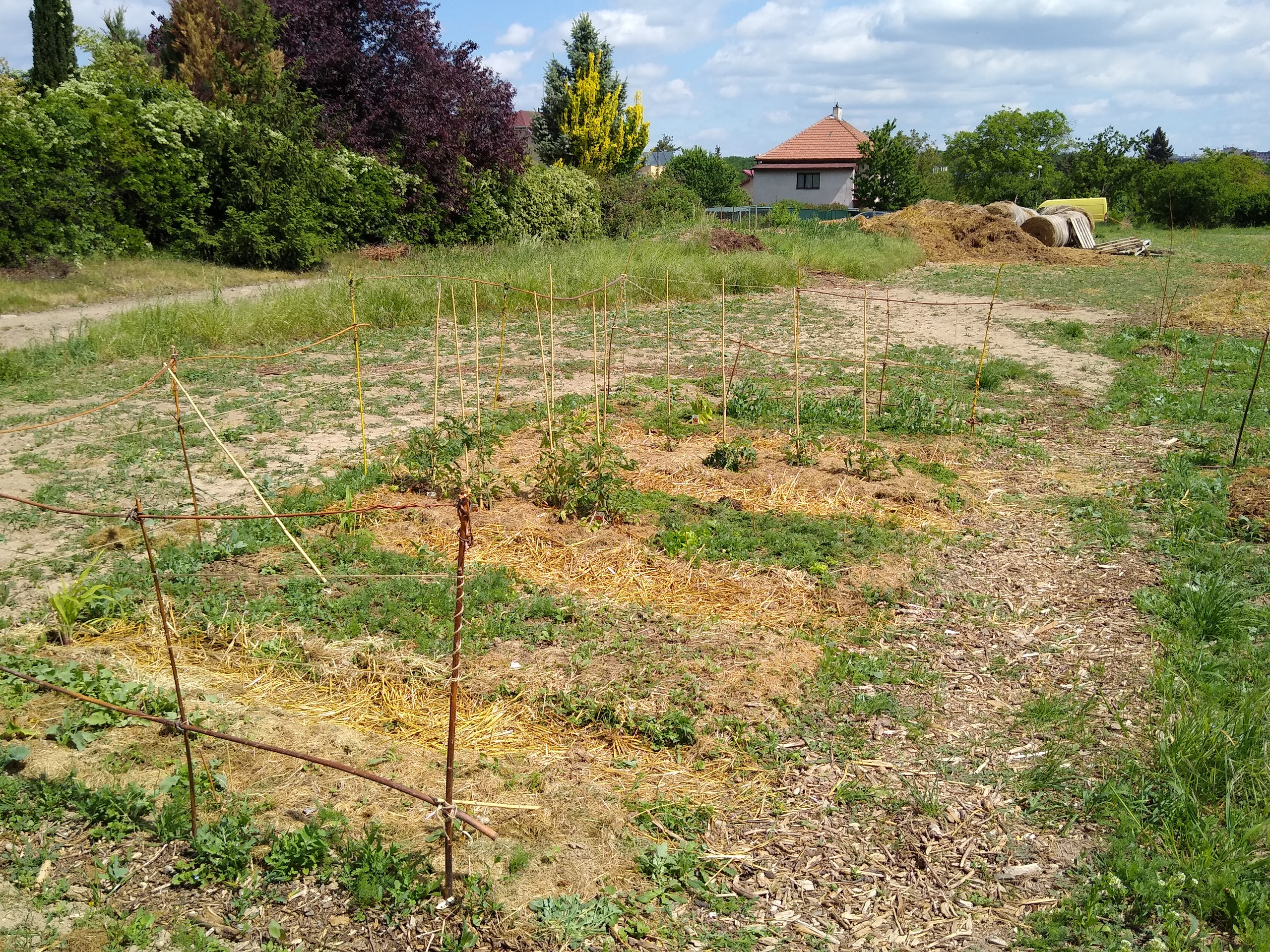 May. Kiki-Niki-Cha! Learn, play, and discover with us!