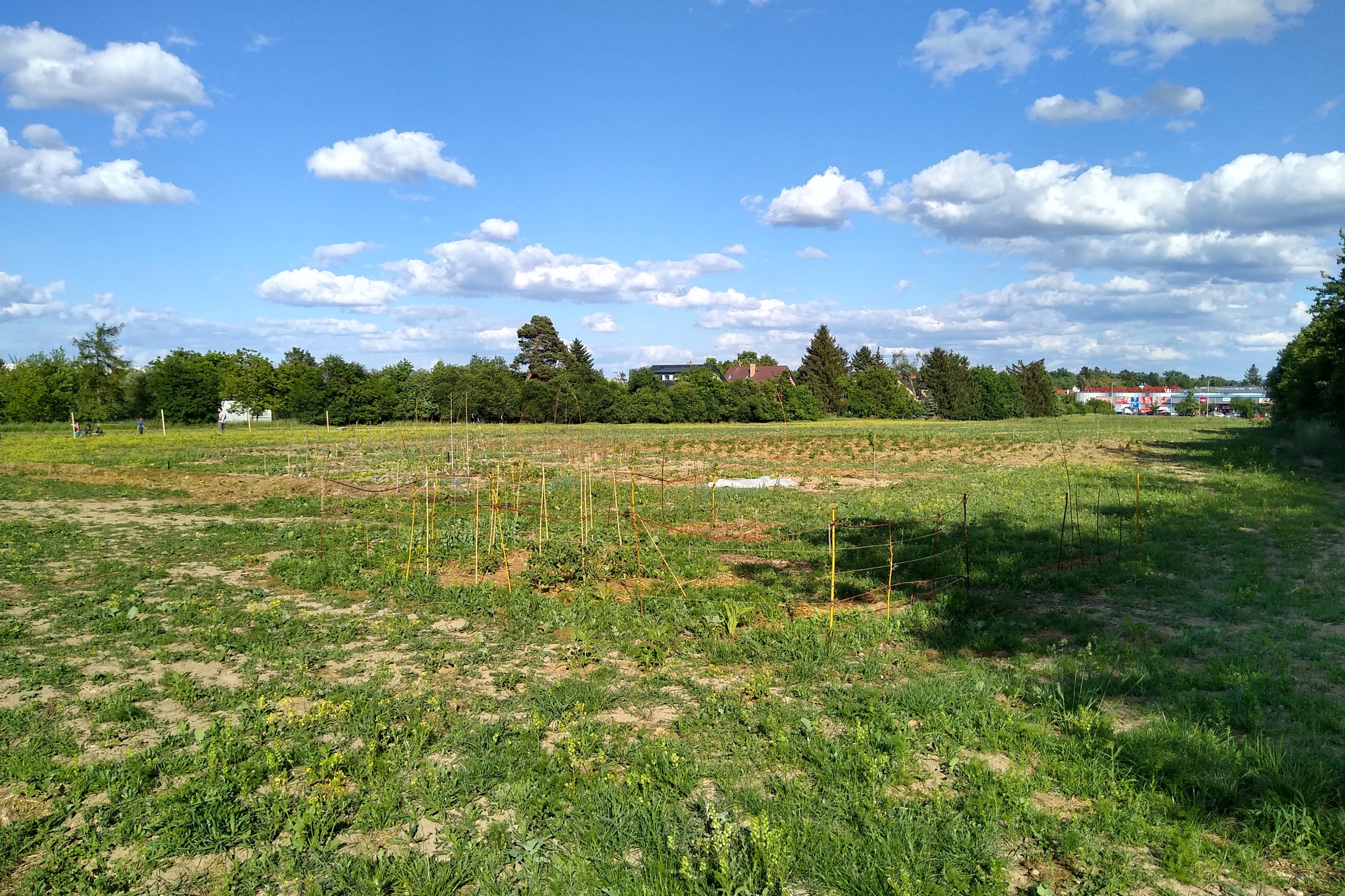 May. Kiki-Niki-Cha! Learn, play, and discover with us!