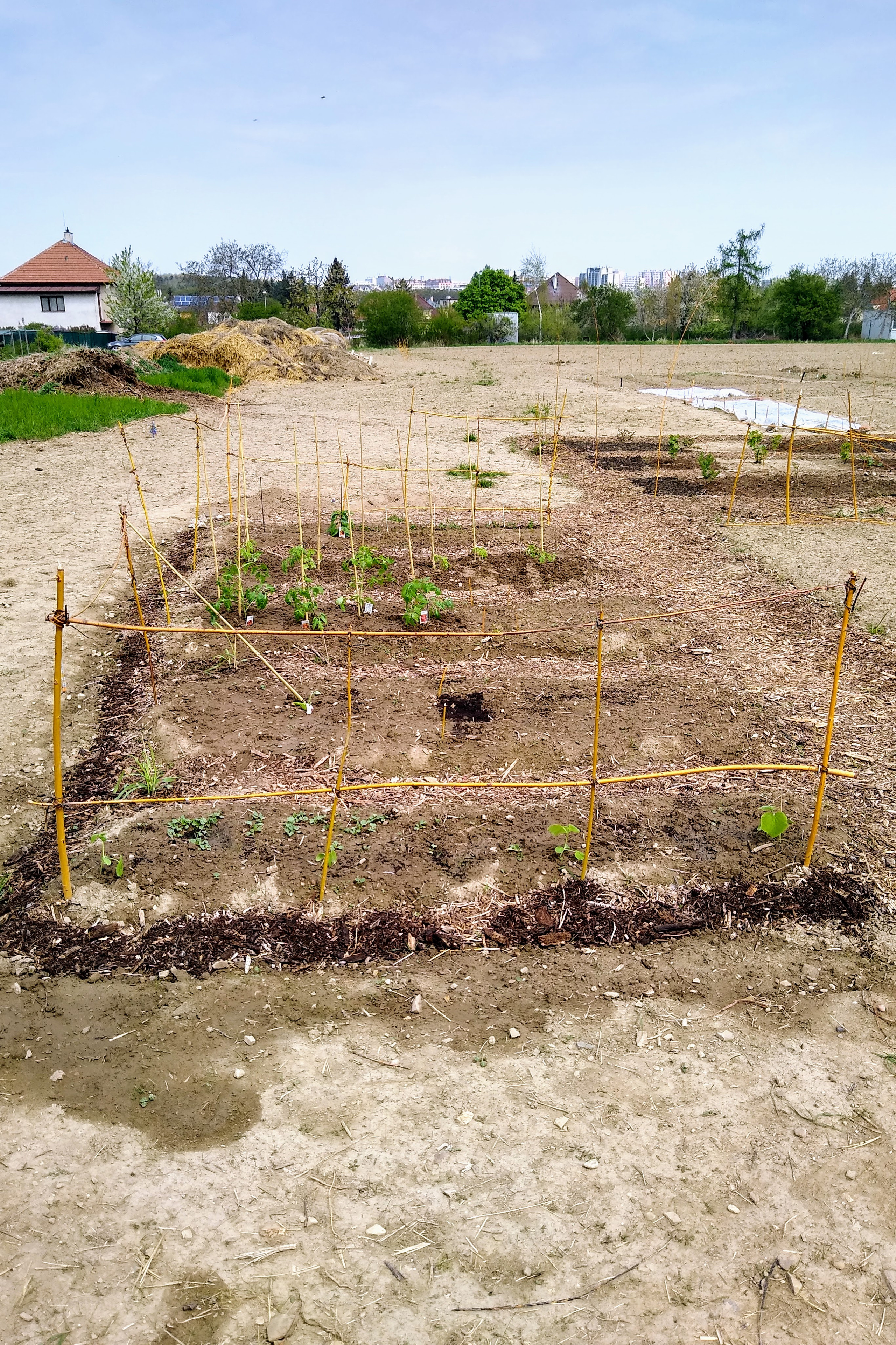 May. Kiki-Niki-Cha! Learn, play, and discover with us!