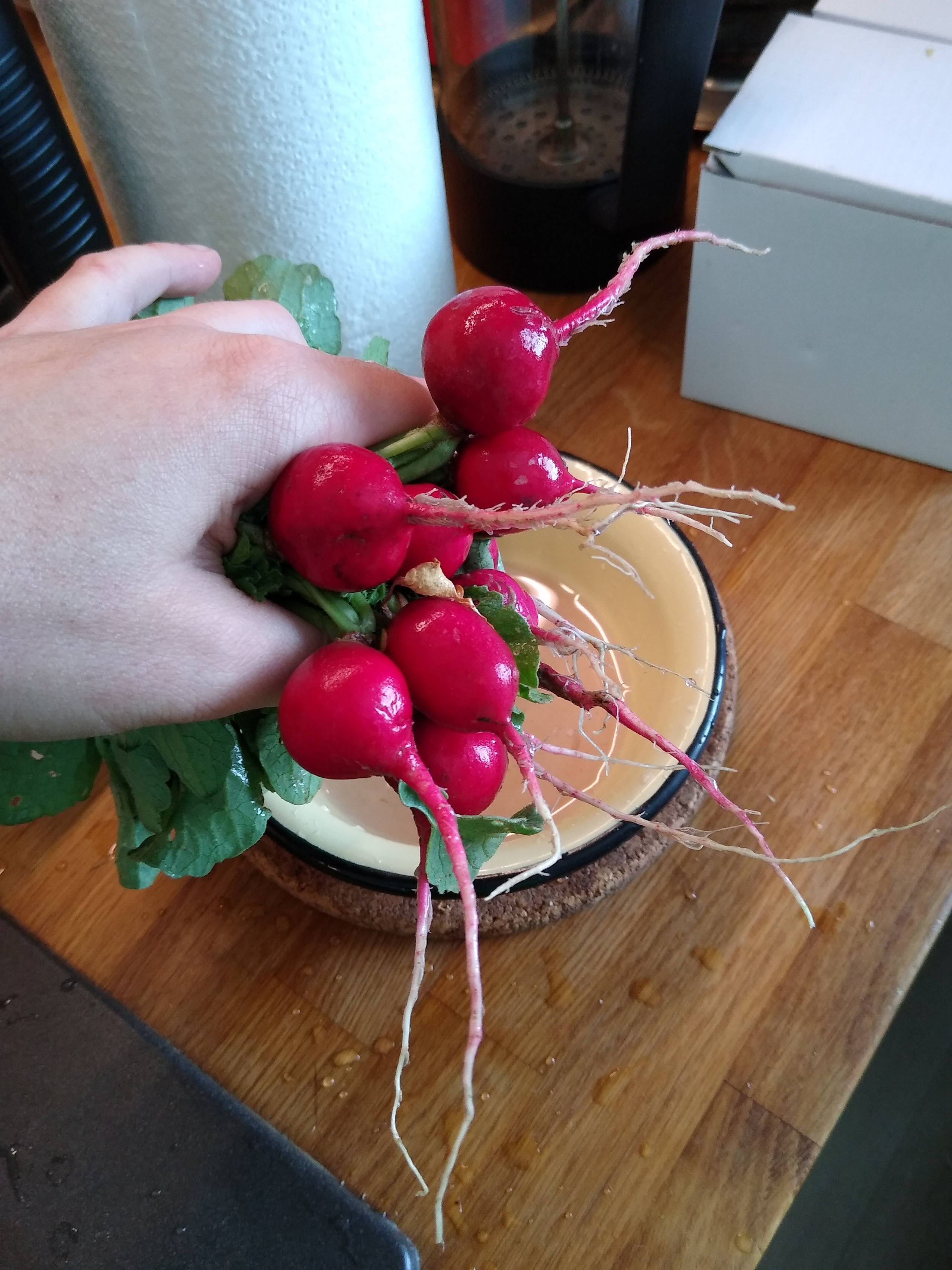 May. Kiki-Niki-Cha! Learn, play, and discover with us!