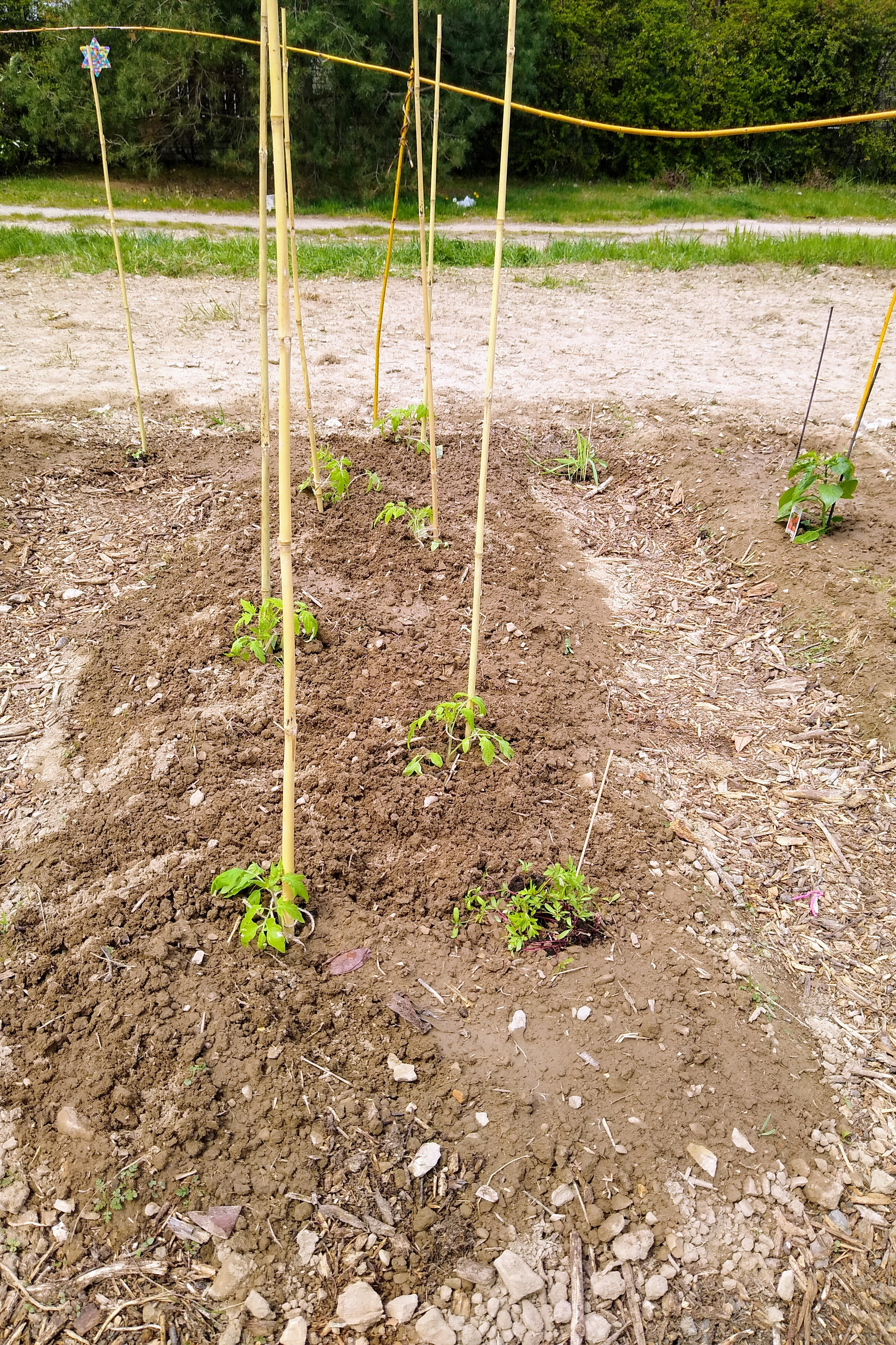 May. Kiki-Niki-Cha! Learn, play, and discover with us!