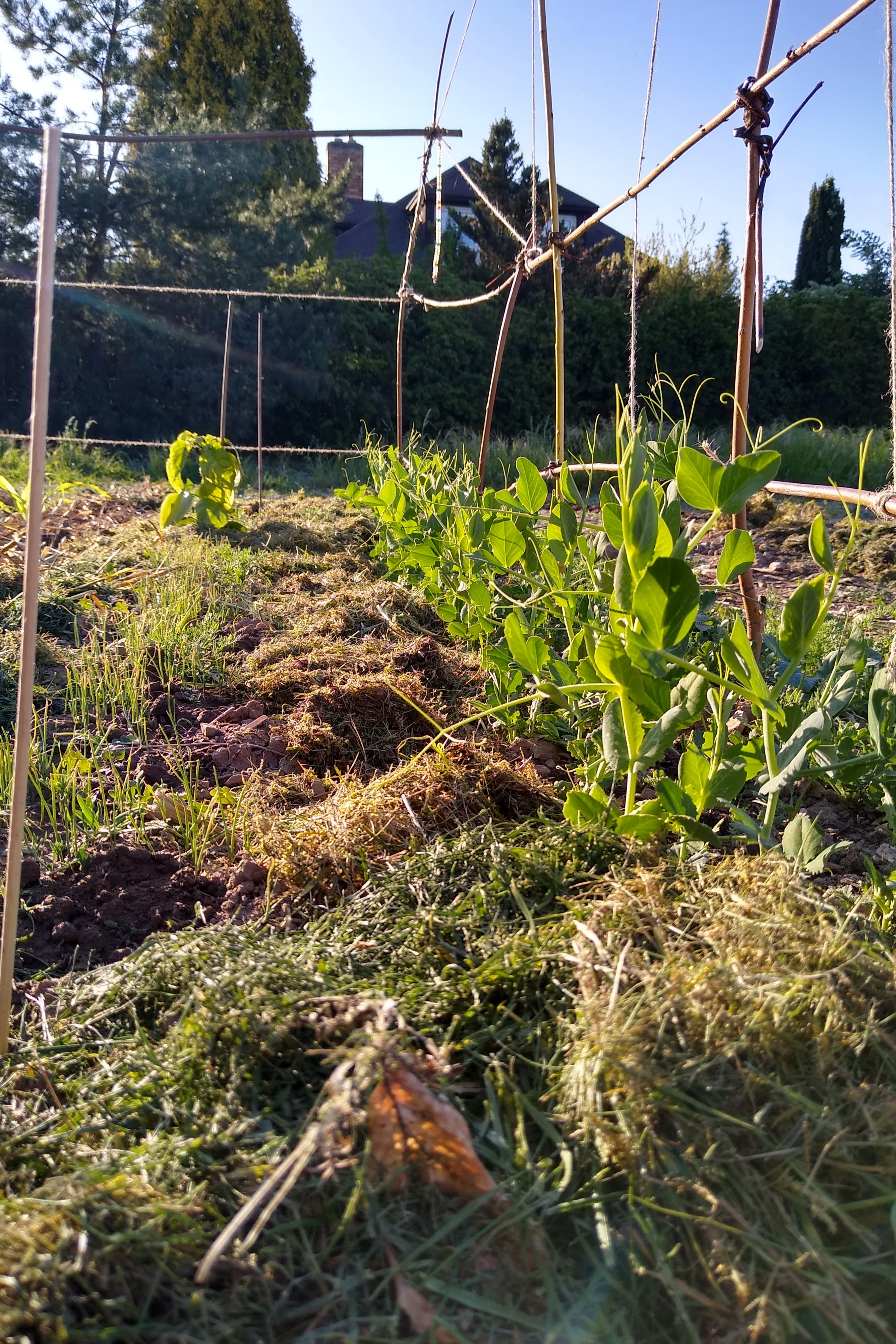 May. Kiki-Niki-Cha! Learn, play, and discover with us!