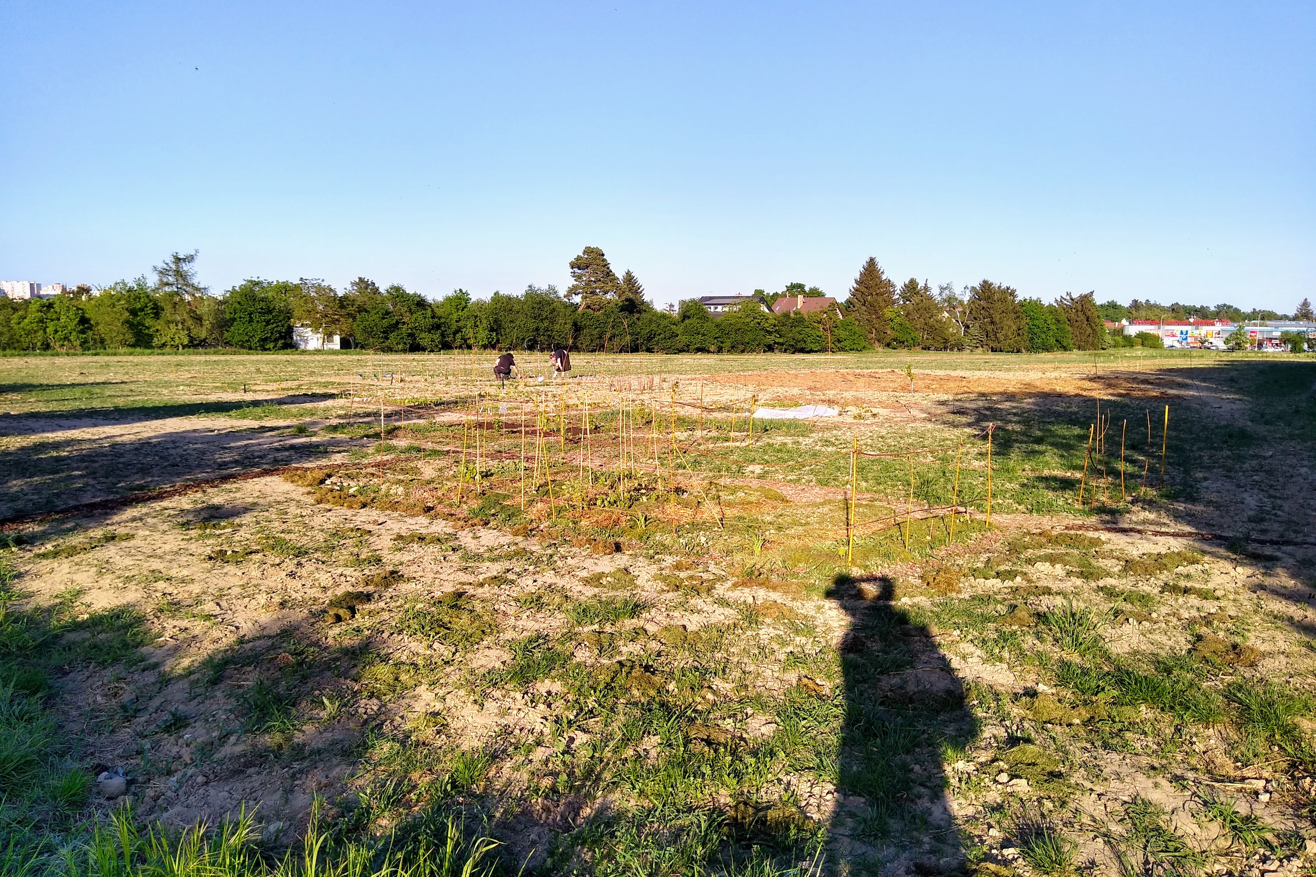 May. Kiki-Niki-Cha! Learn, play, and discover with us!