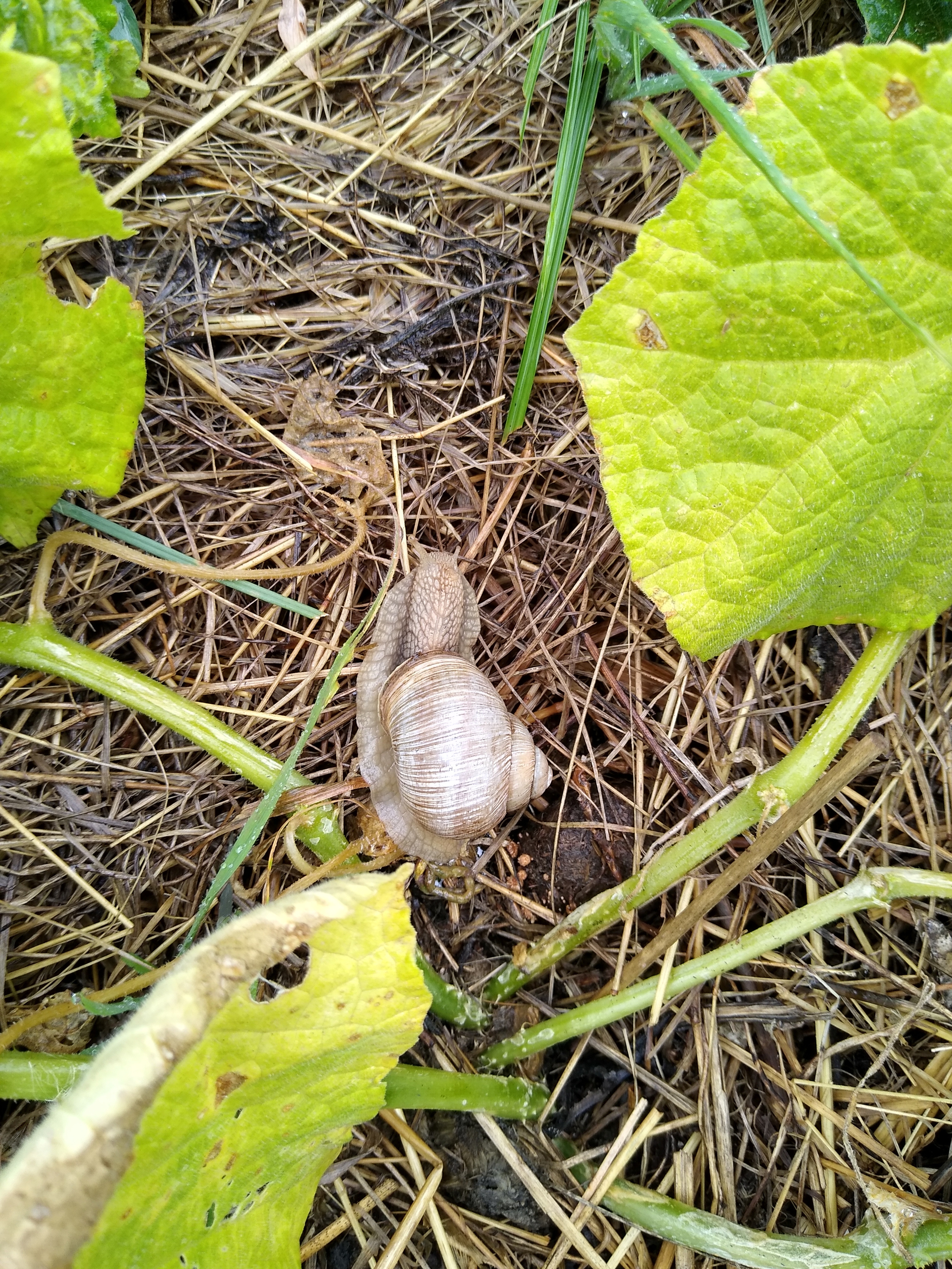 July. Kiki-Niki-Cha! Learn, play, and discover with us!