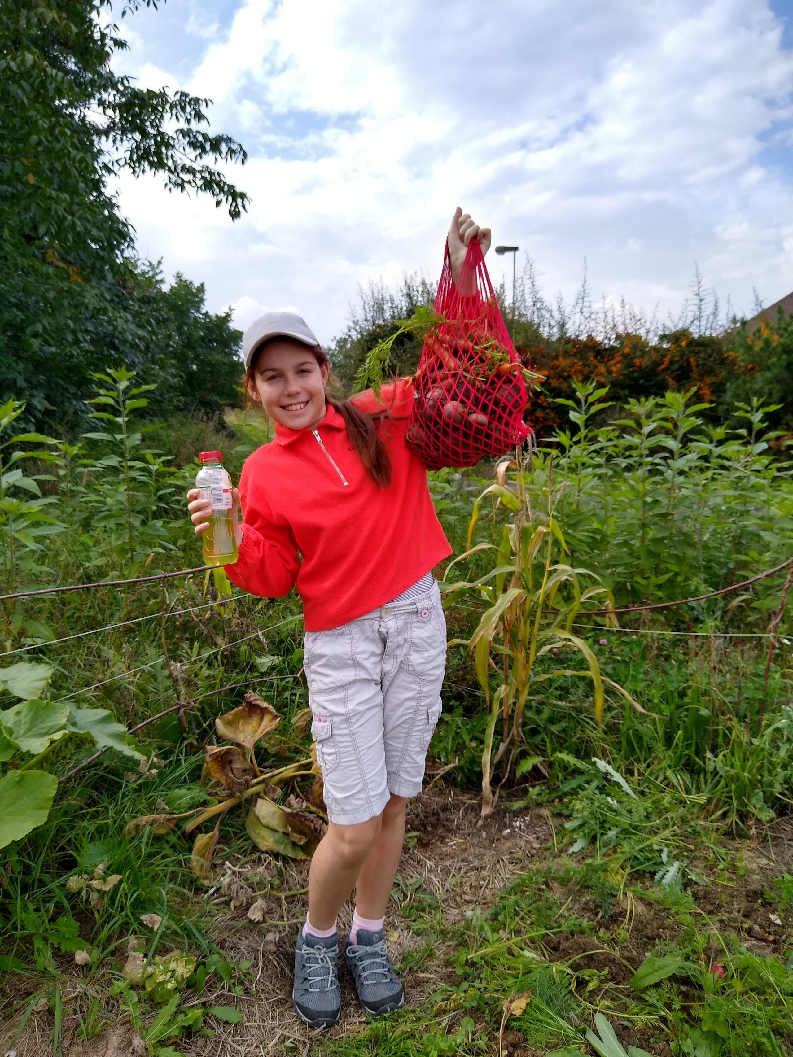 September. Kiki-Niki-Cha! Learn, play, and discover with us!