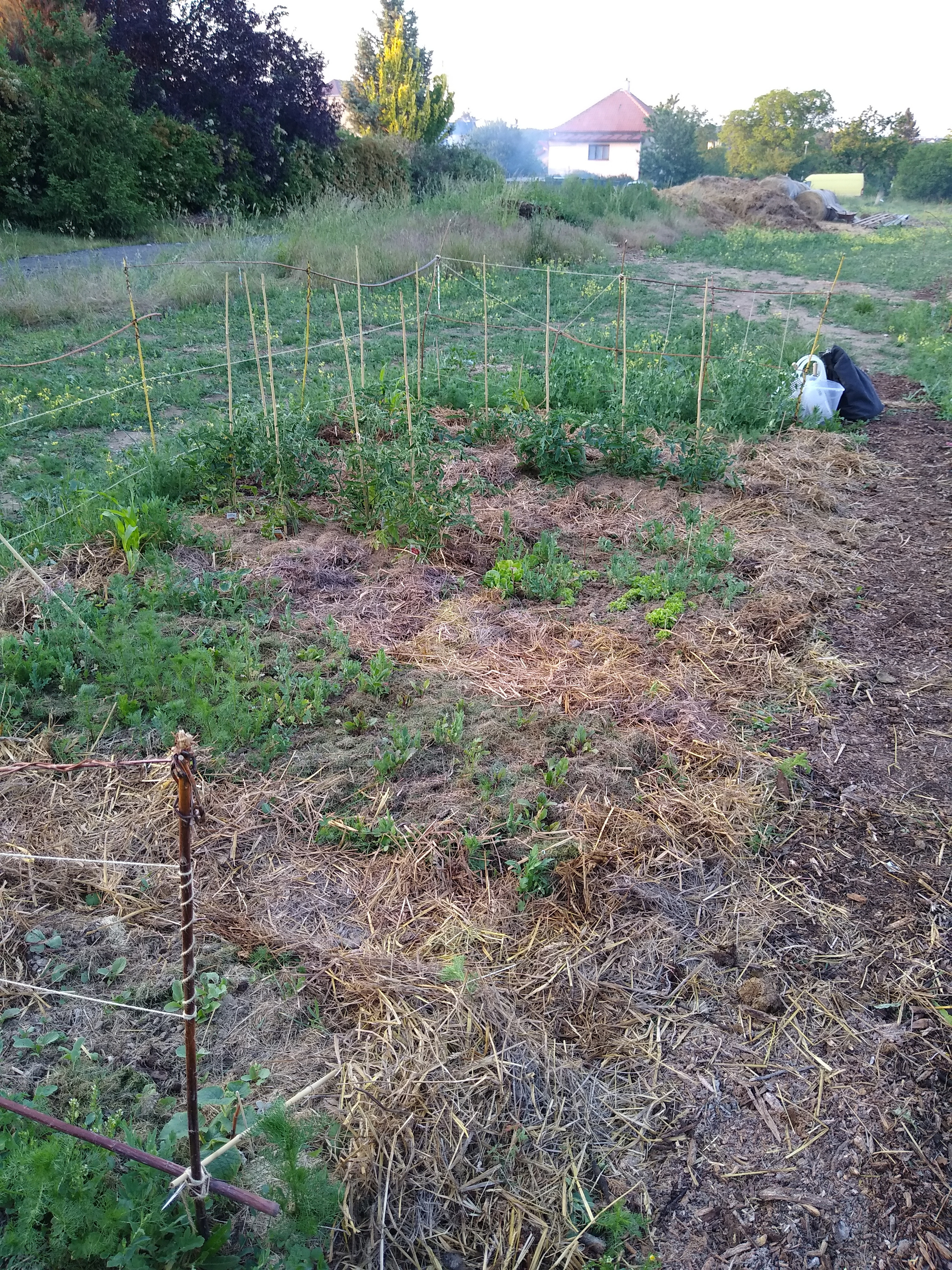 June. Kiki-Niki-Cha! Learn, play, and discover with us!