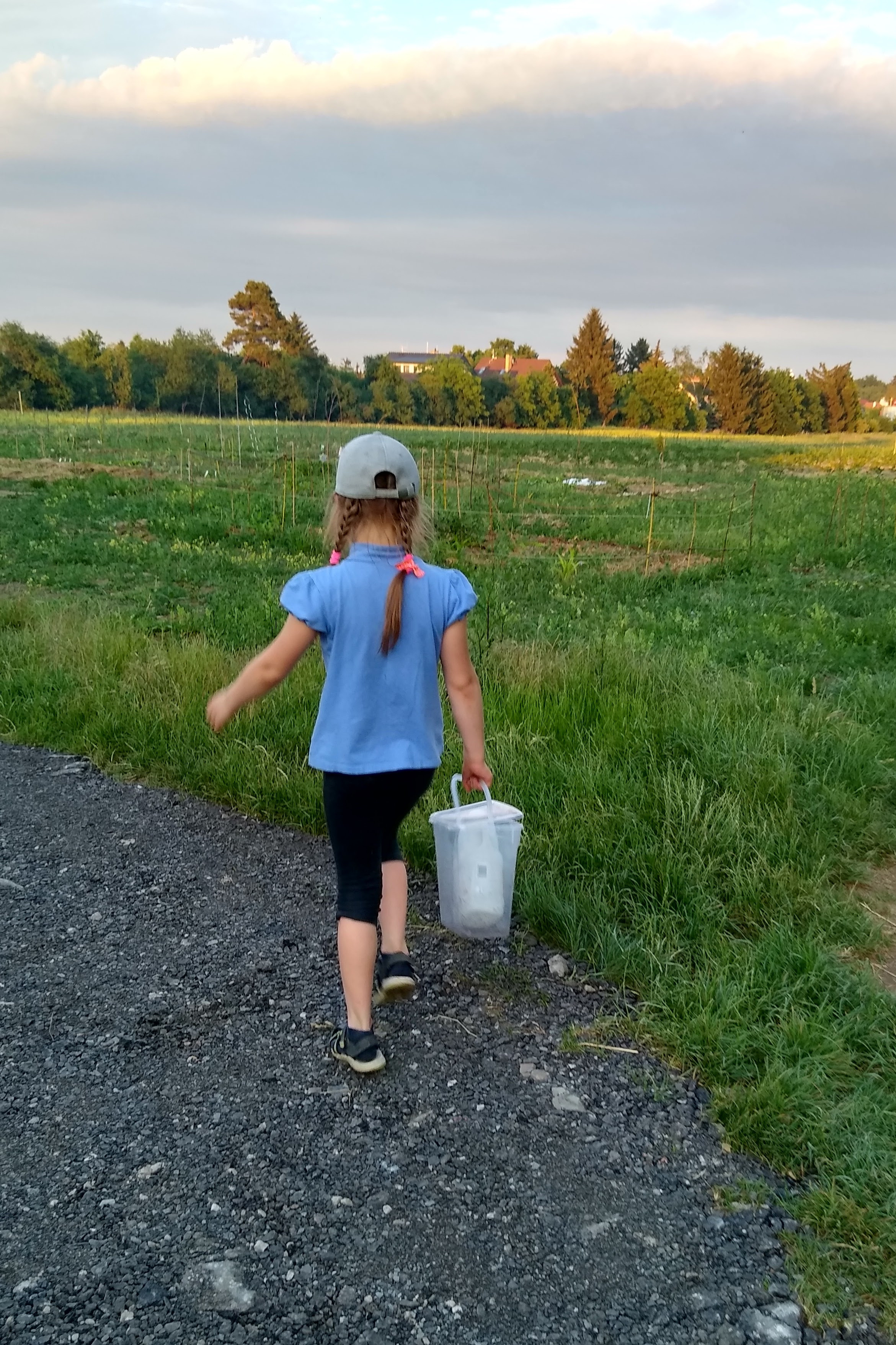 June. Kiki-Niki-Cha! Learn, play, and discover with us!