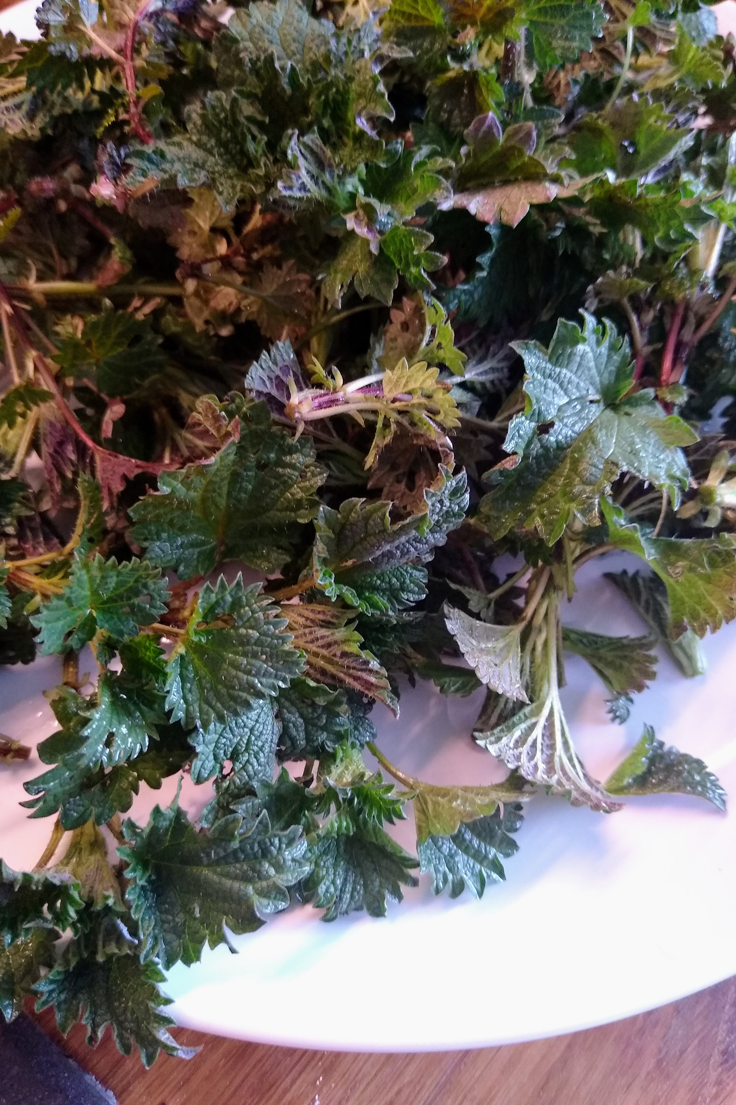 April. Kiki-Niki-Cha! Learn, play, and discover with us!