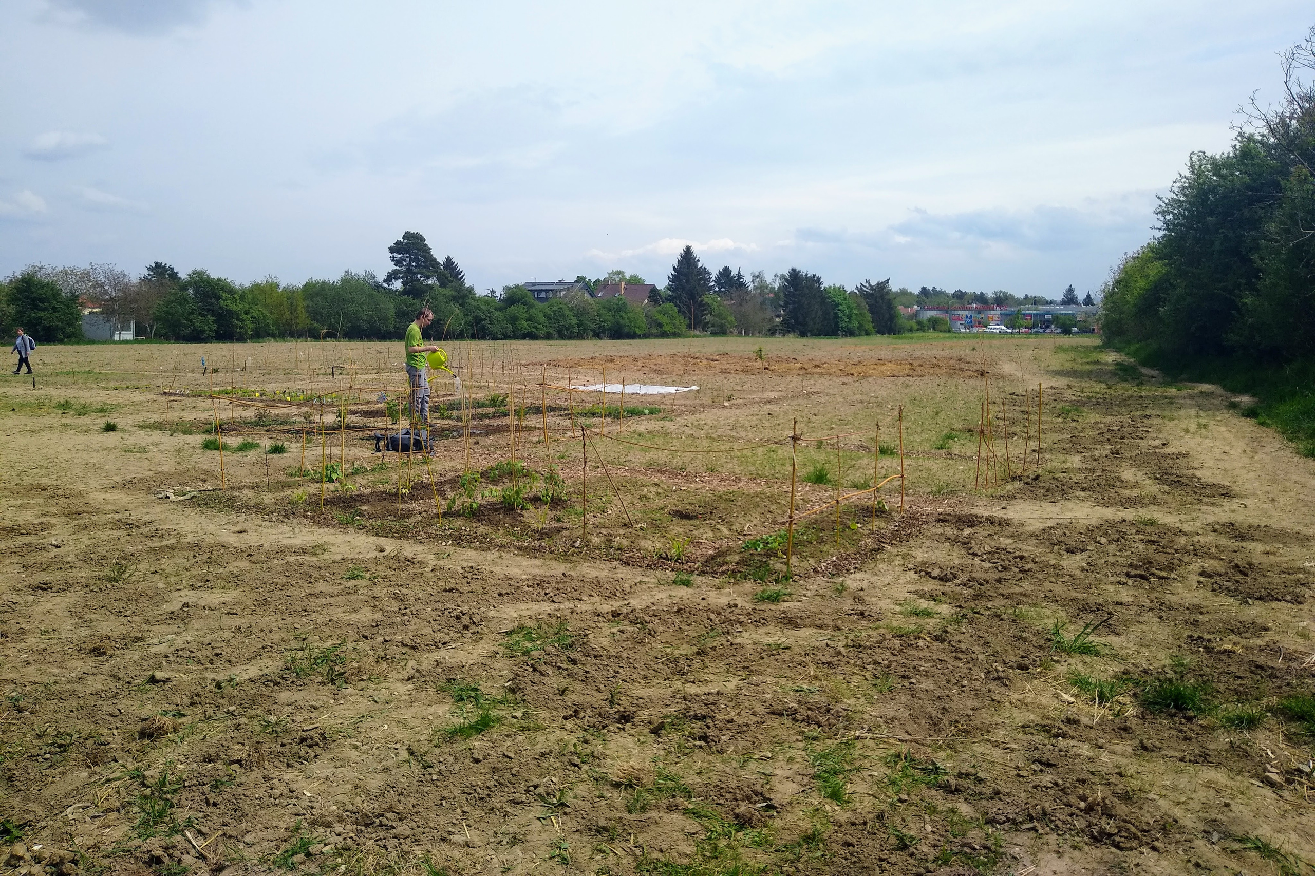 May. Kiki-Niki-Cha! Learn, play, and discover with us!