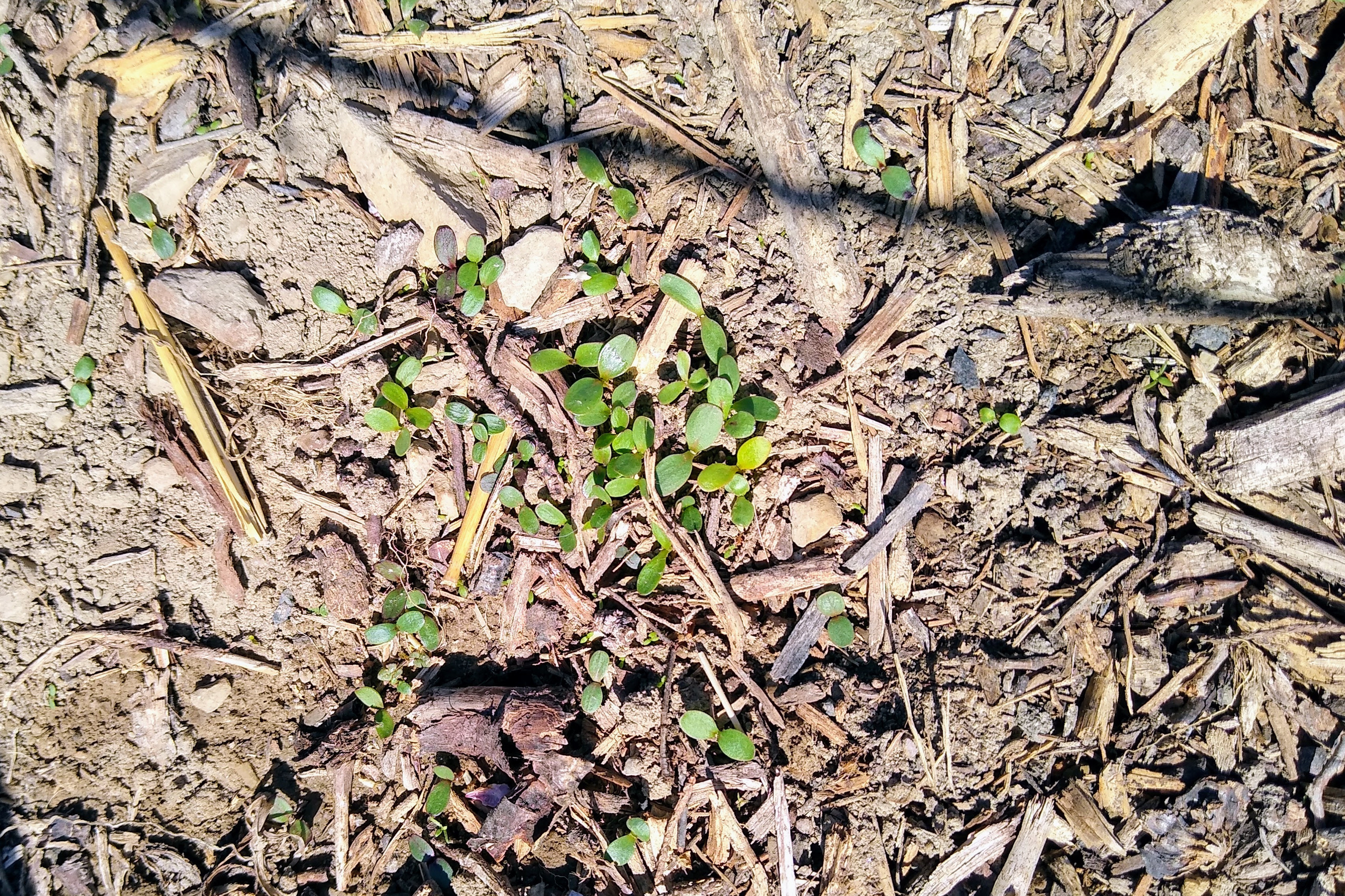 April. Kiki-Niki-Cha! Learn, play, and discover with us!