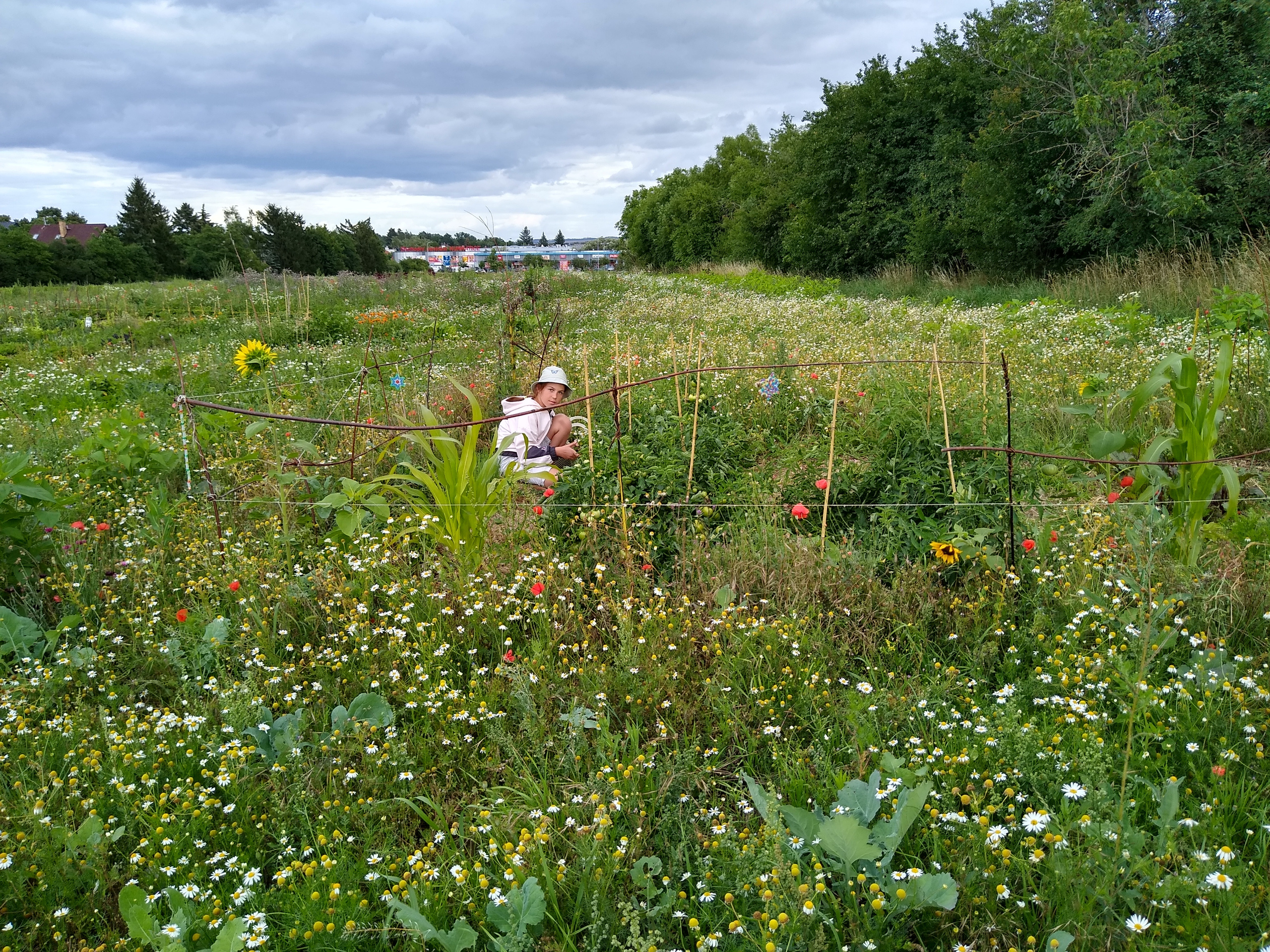 July. Kiki-Niki-Cha! Learn, play, and discover with us!