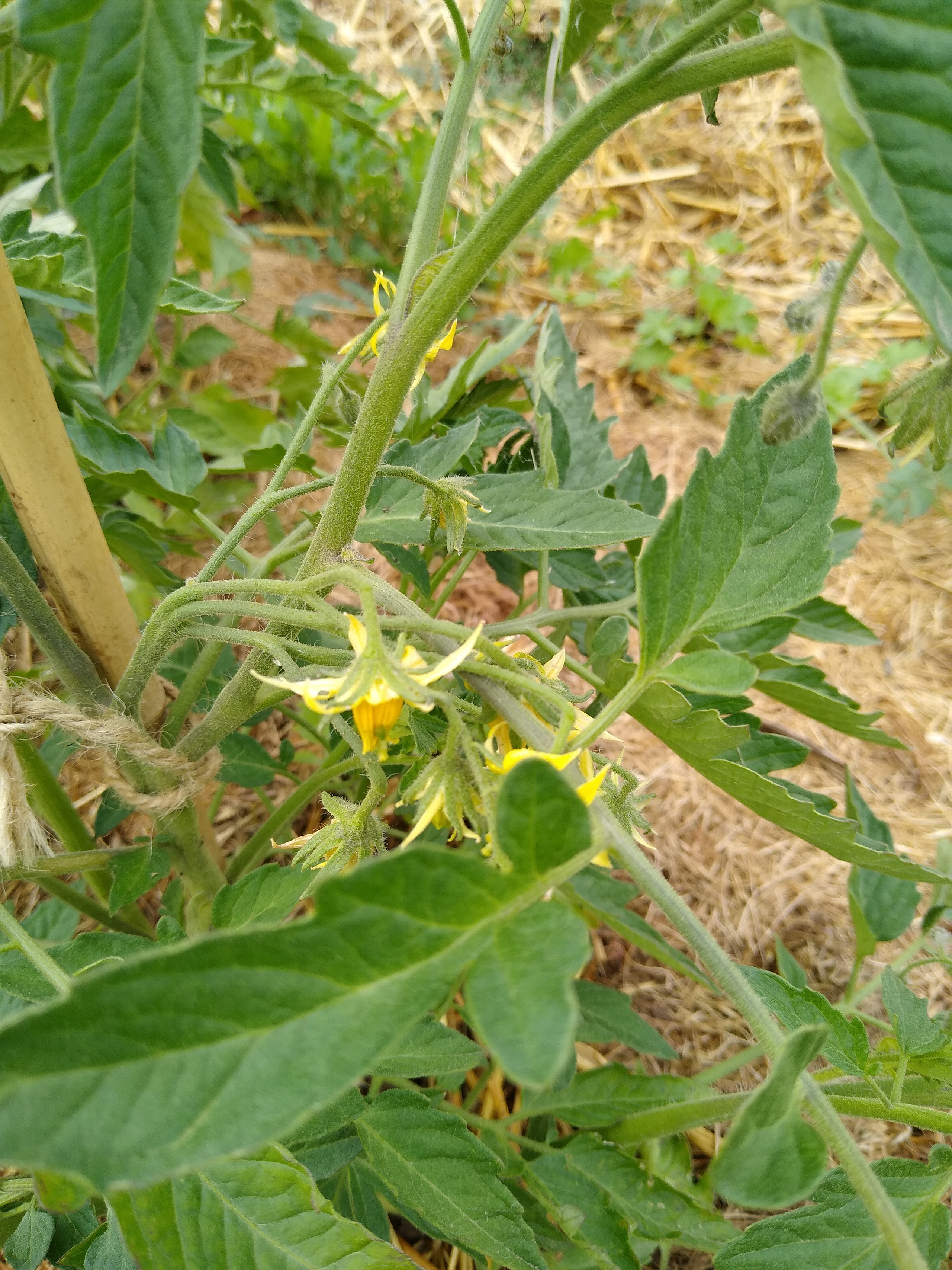 May. Kiki-Niki-Cha! Learn, play, and discover with us!