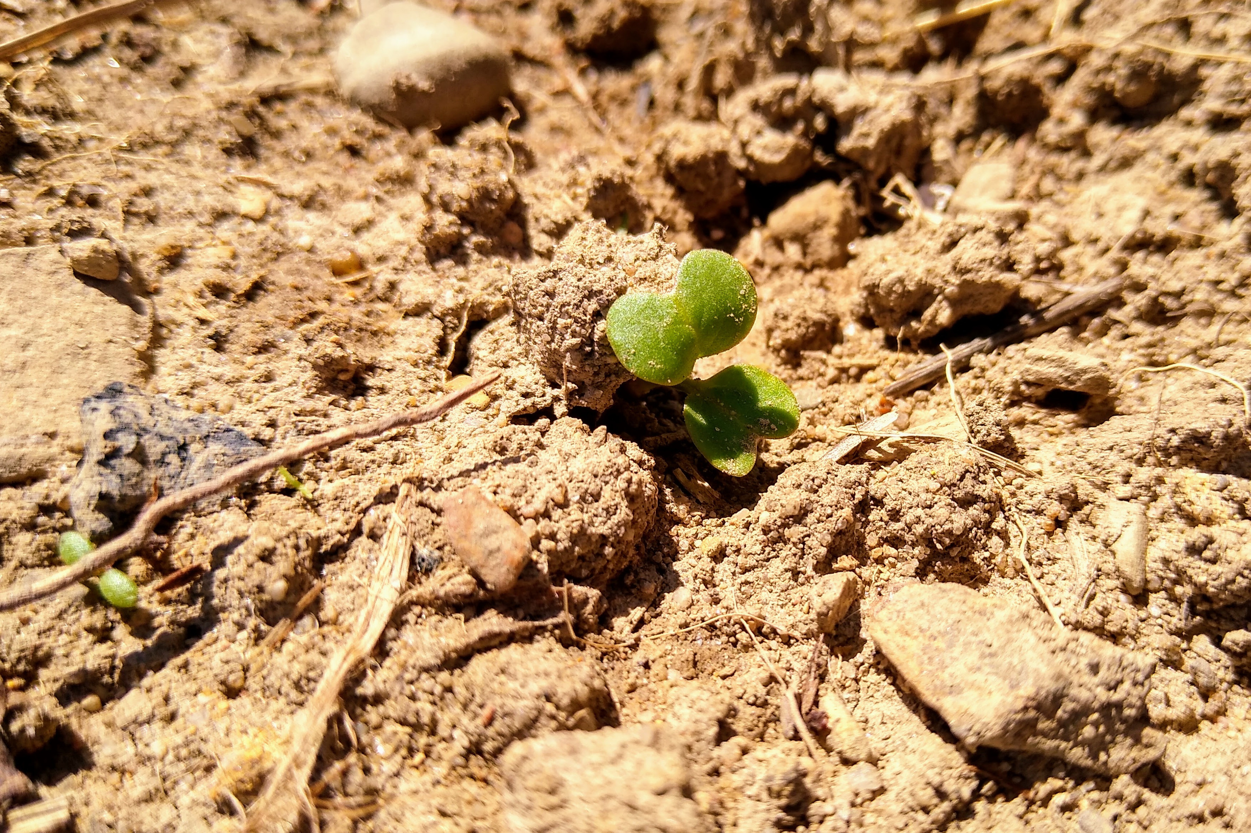 April. Kiki-Niki-Cha! Learn, play, and discover with us!