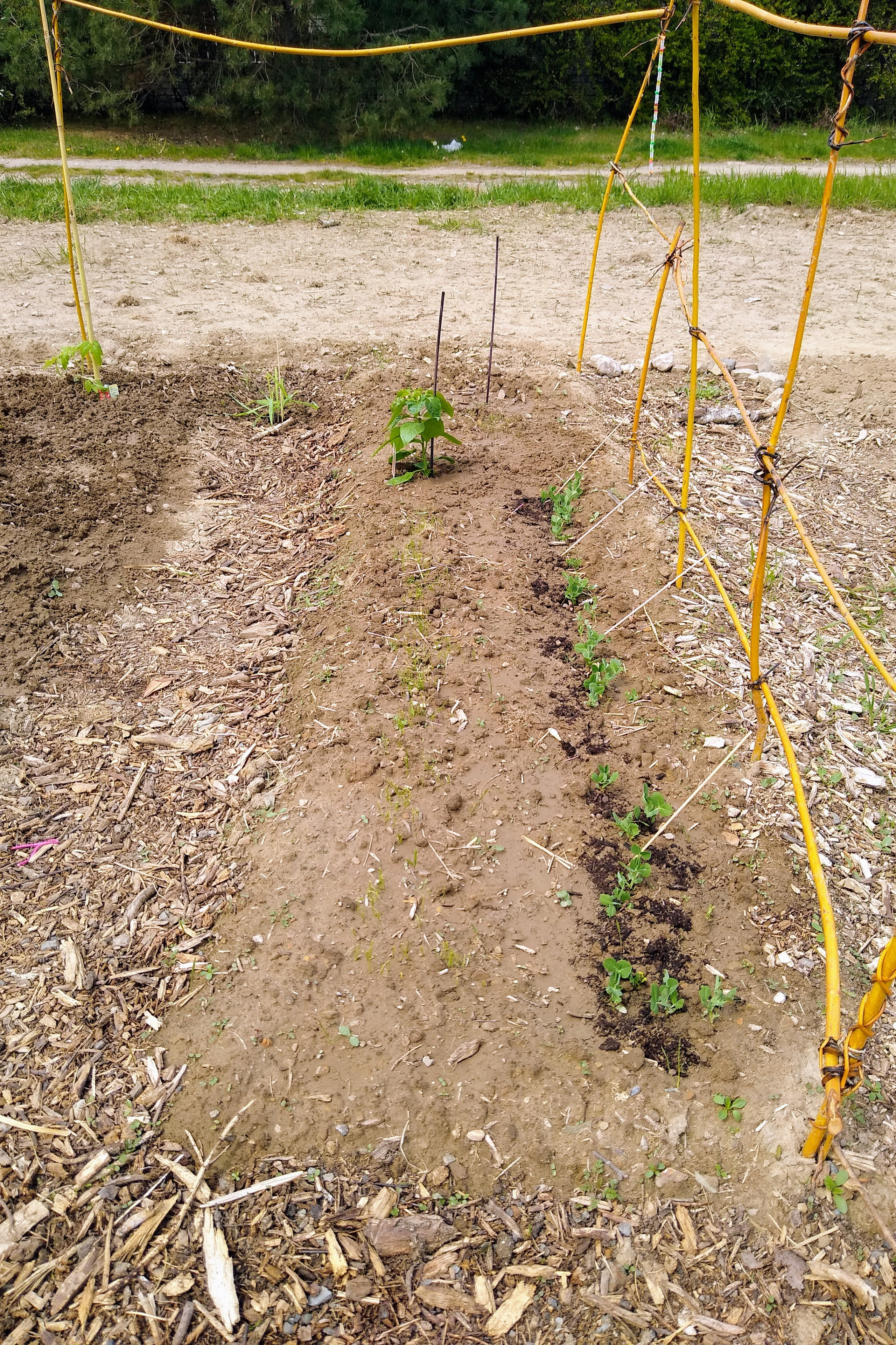 May. Kiki-Niki-Cha! Learn, play, and discover with us!