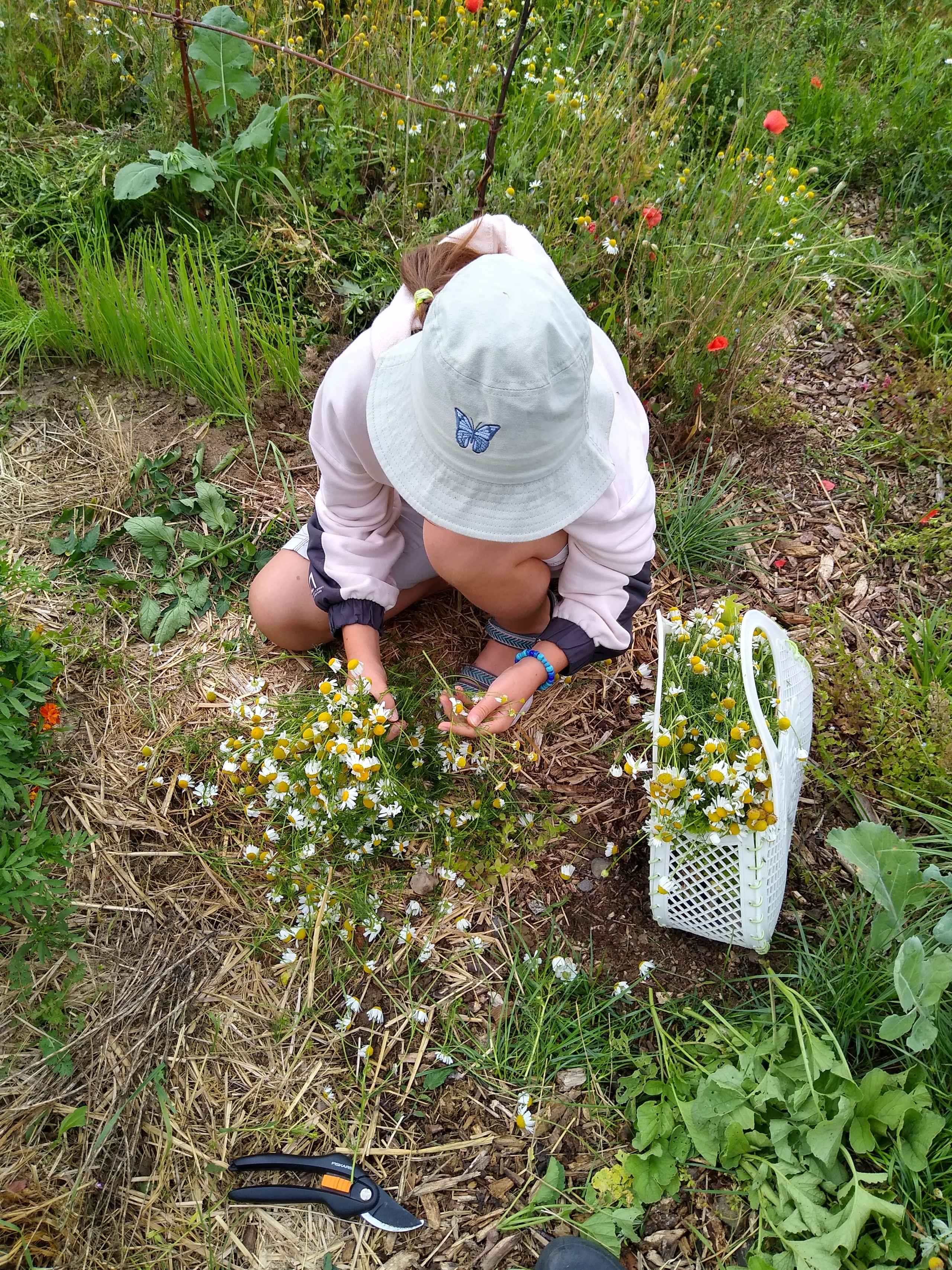 July. Kiki-Niki-Cha! Learn, play, and discover with us!