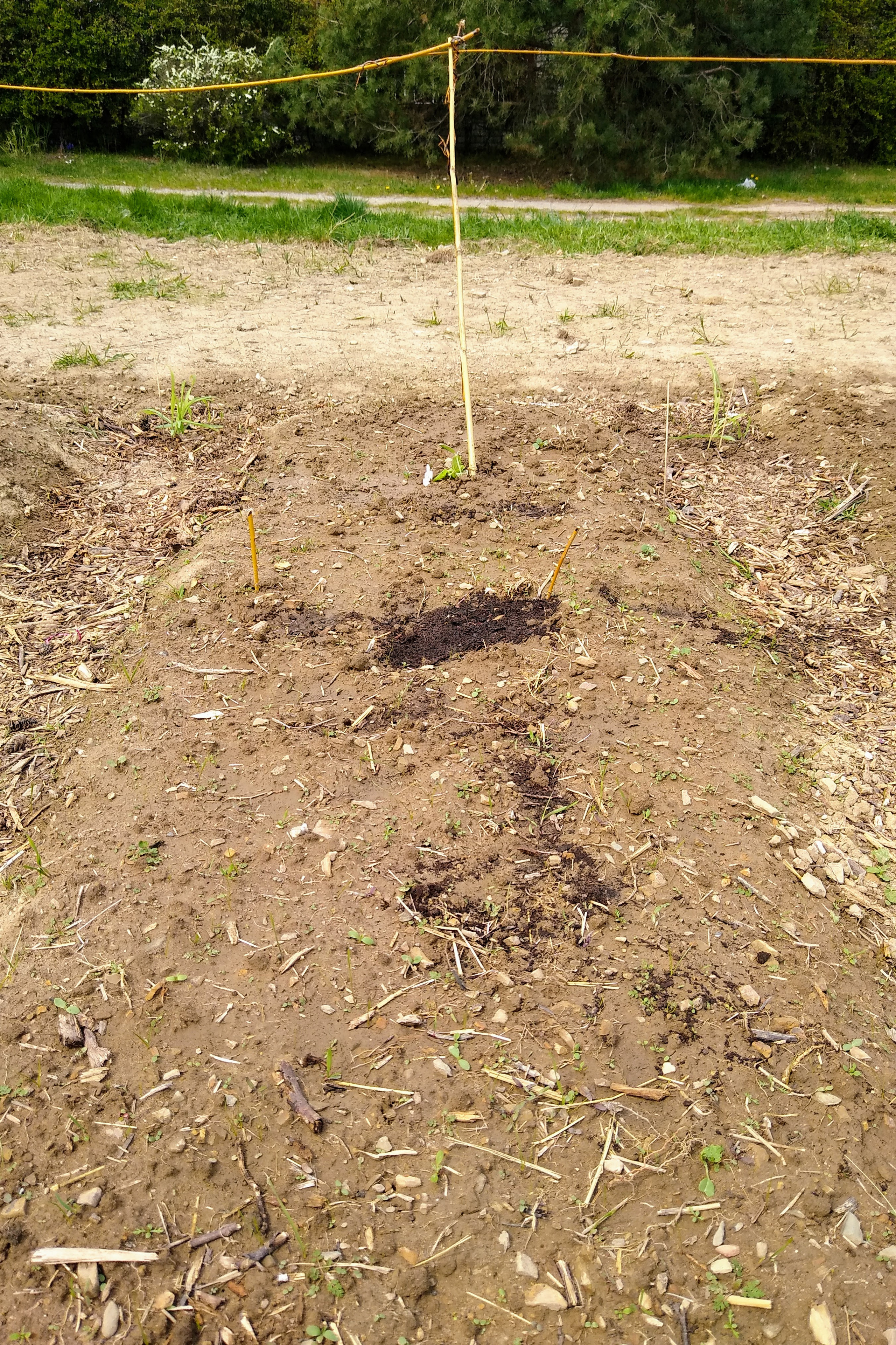 May. Kiki-Niki-Cha! Learn, play, and discover with us!