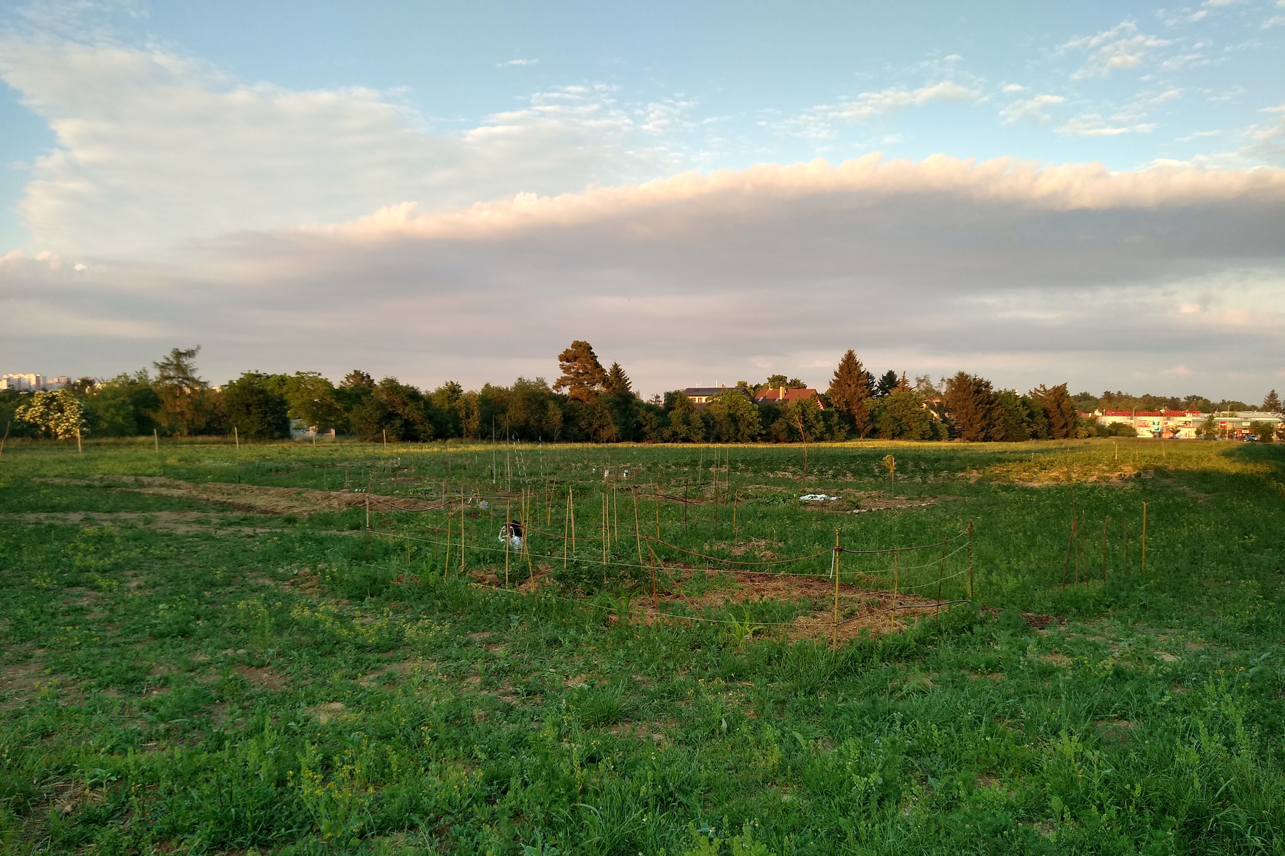 June. Kiki-Niki-Cha! Learn, play, and discover with us!