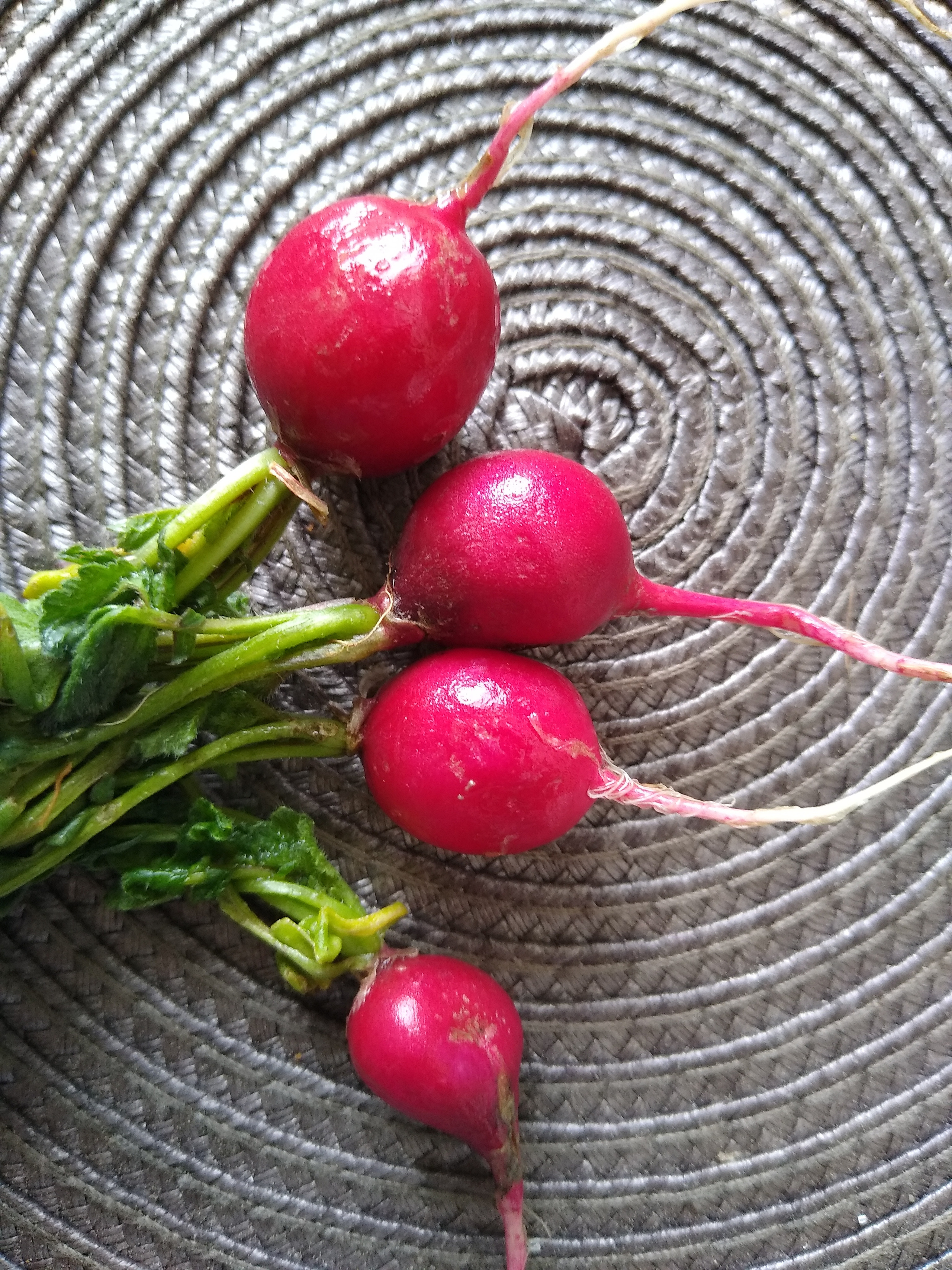 May. Kiki-Niki-Cha! Learn, play, and discover with us!