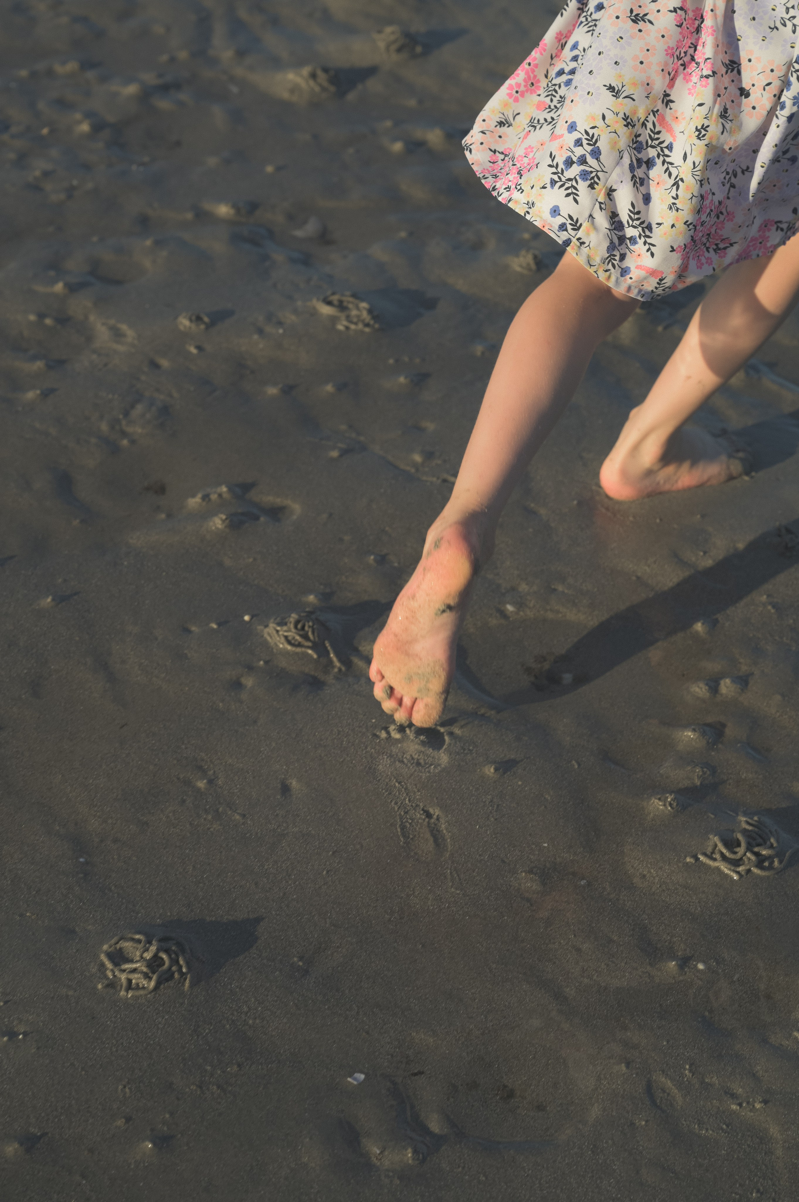 Barn- og familiefotografering. Din fotograf i Narvik kommune