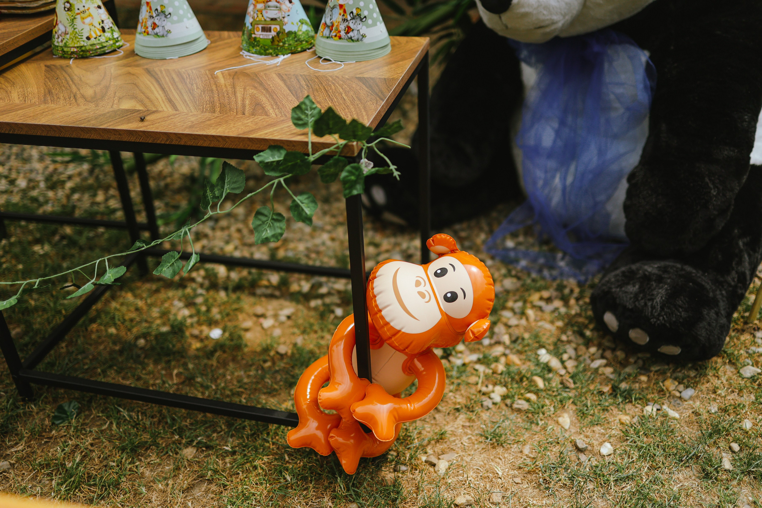 Aleksej. Vlada toskic wedding and event photographer