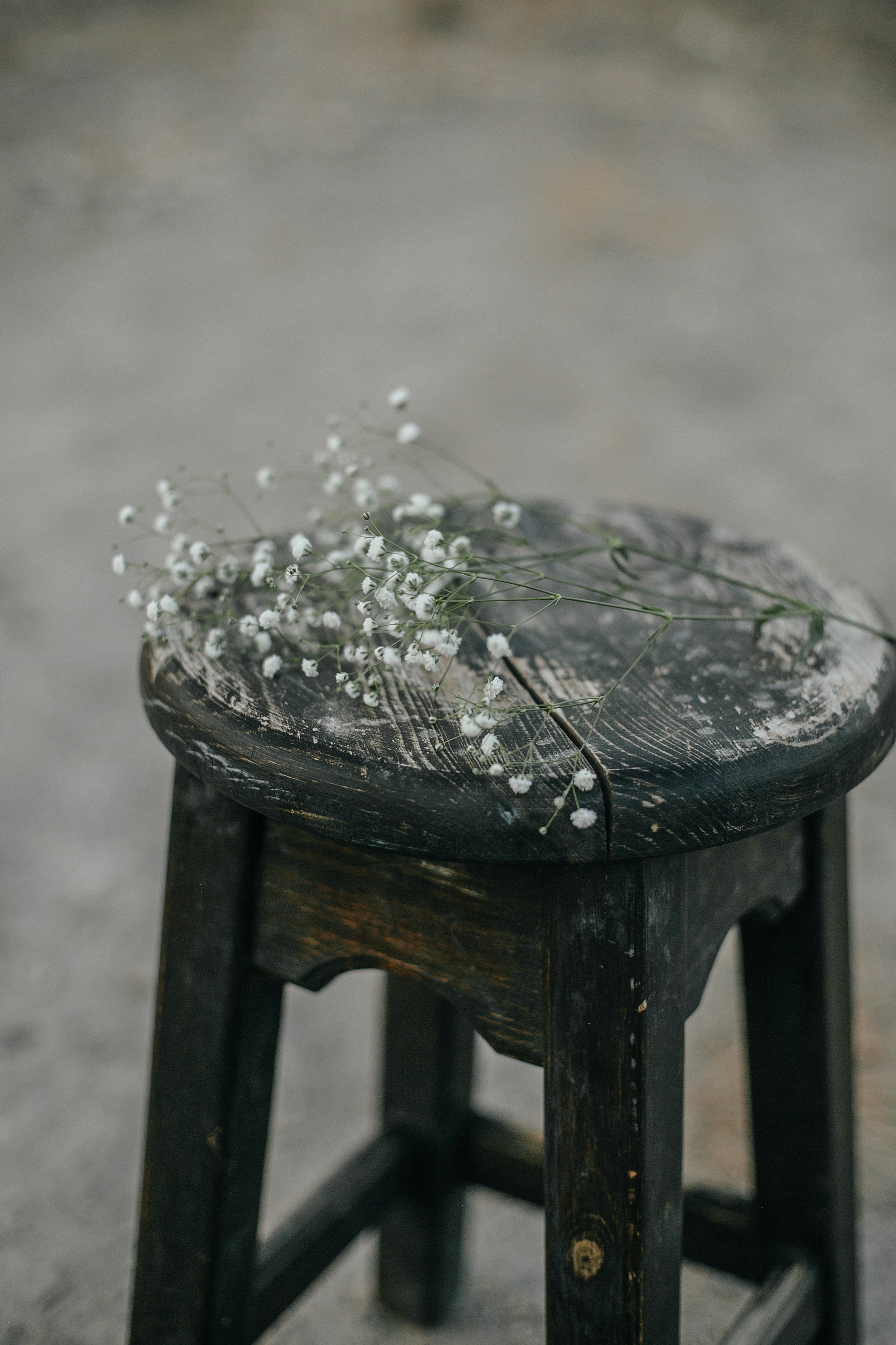 Kiryat Tivon field. Family photographer in Israel