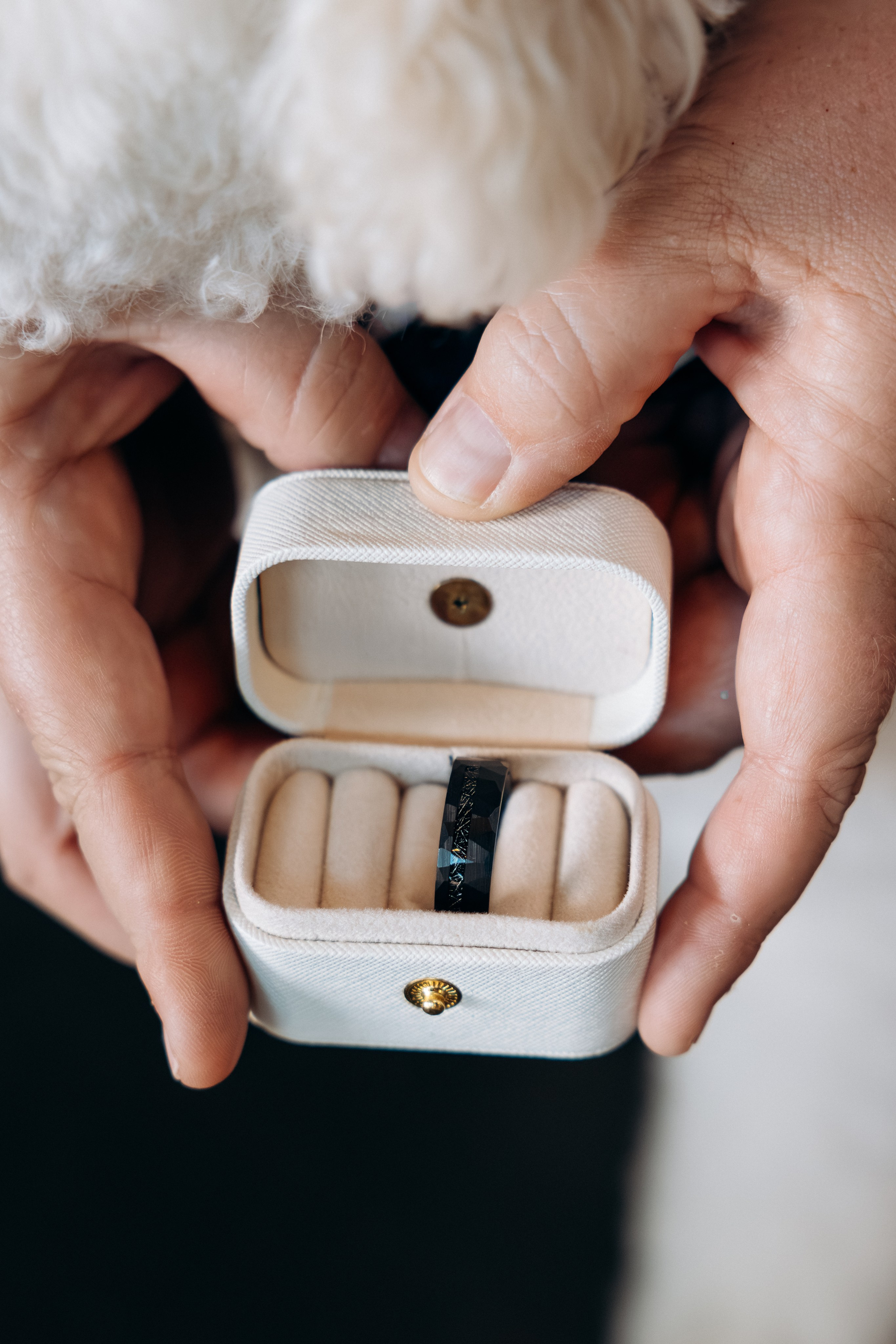 *. Wedding and family photographer San Diego