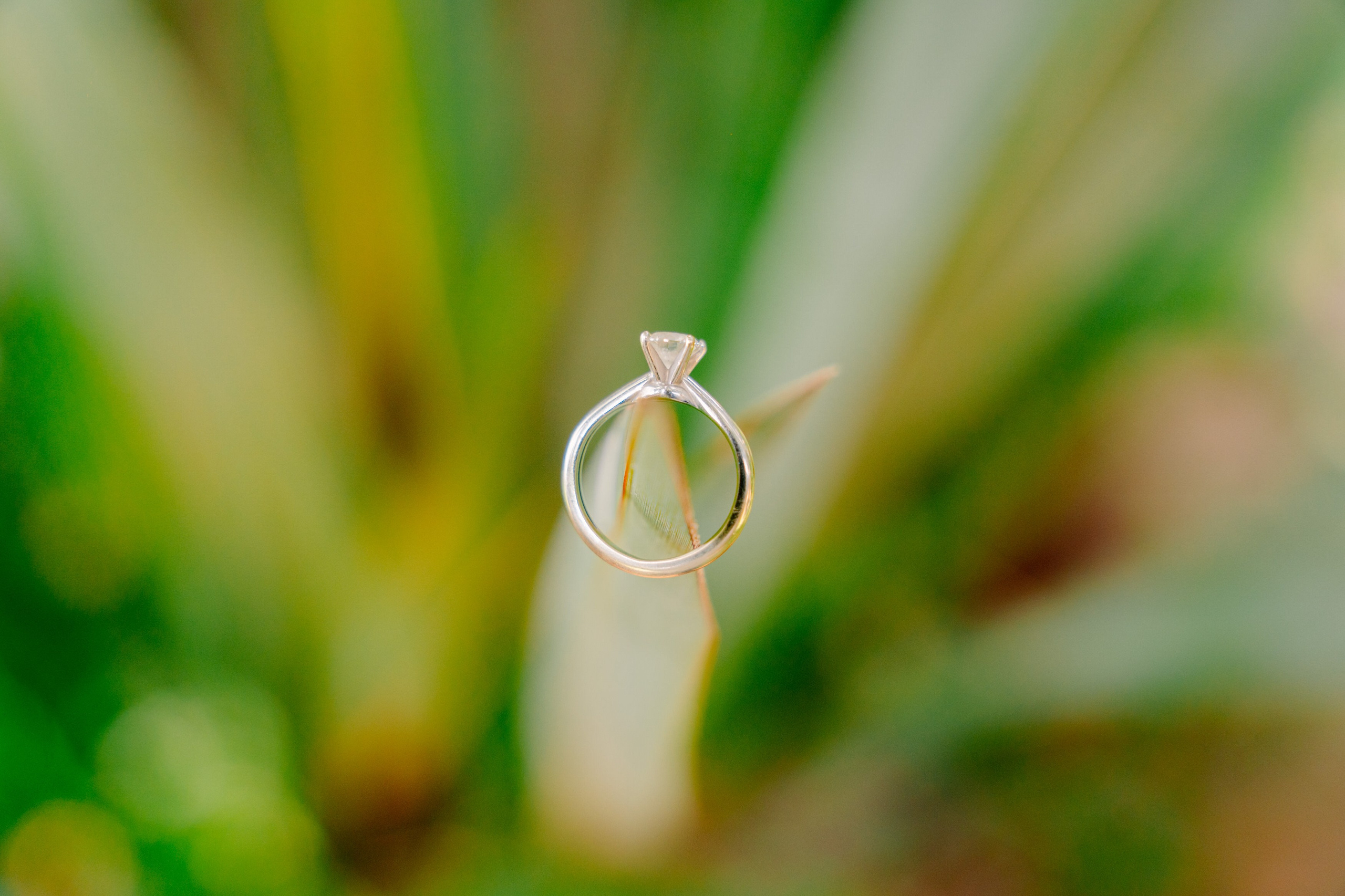 Wedding America y Alex