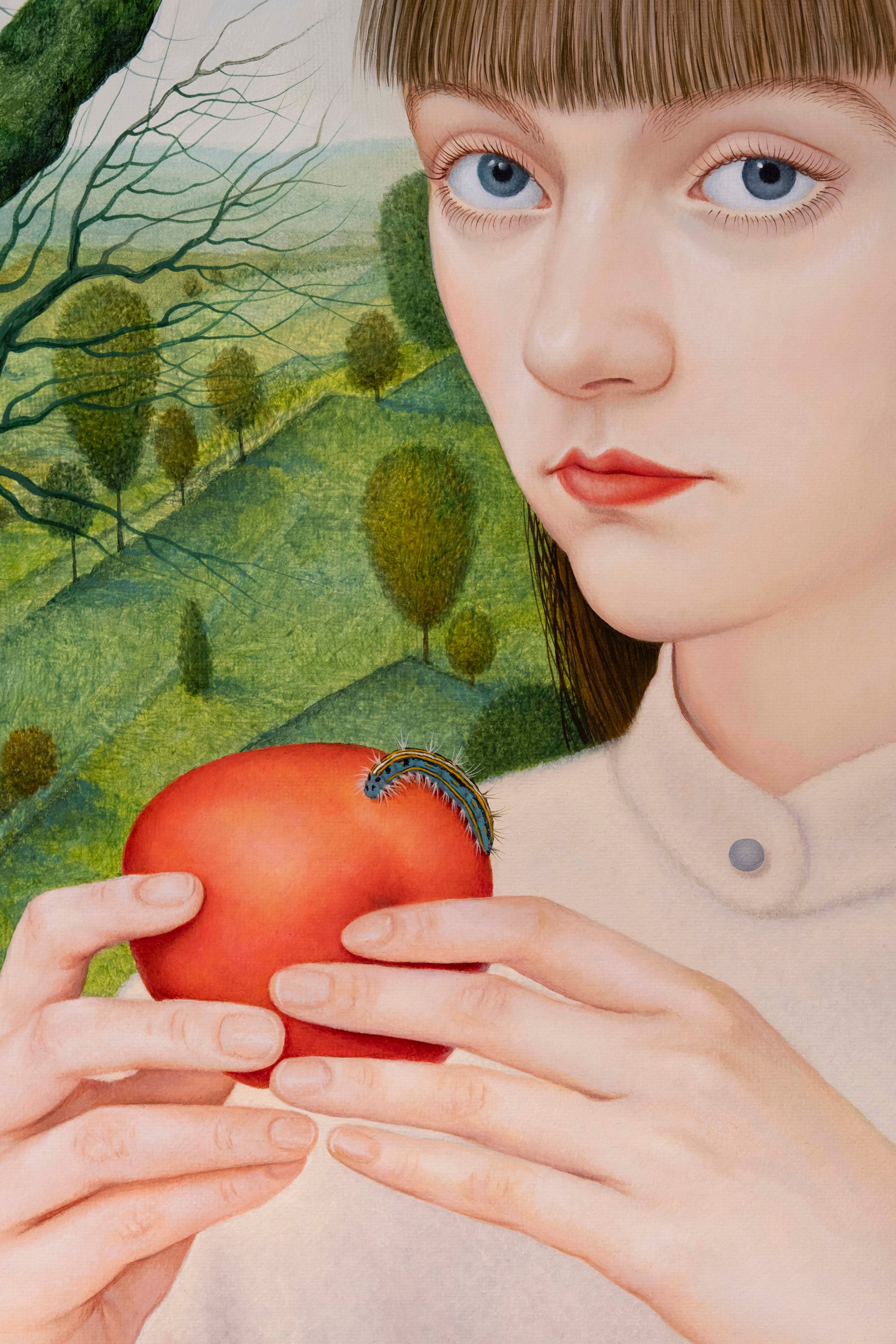 Malacosoma Neustria. ELEN BEZHEN