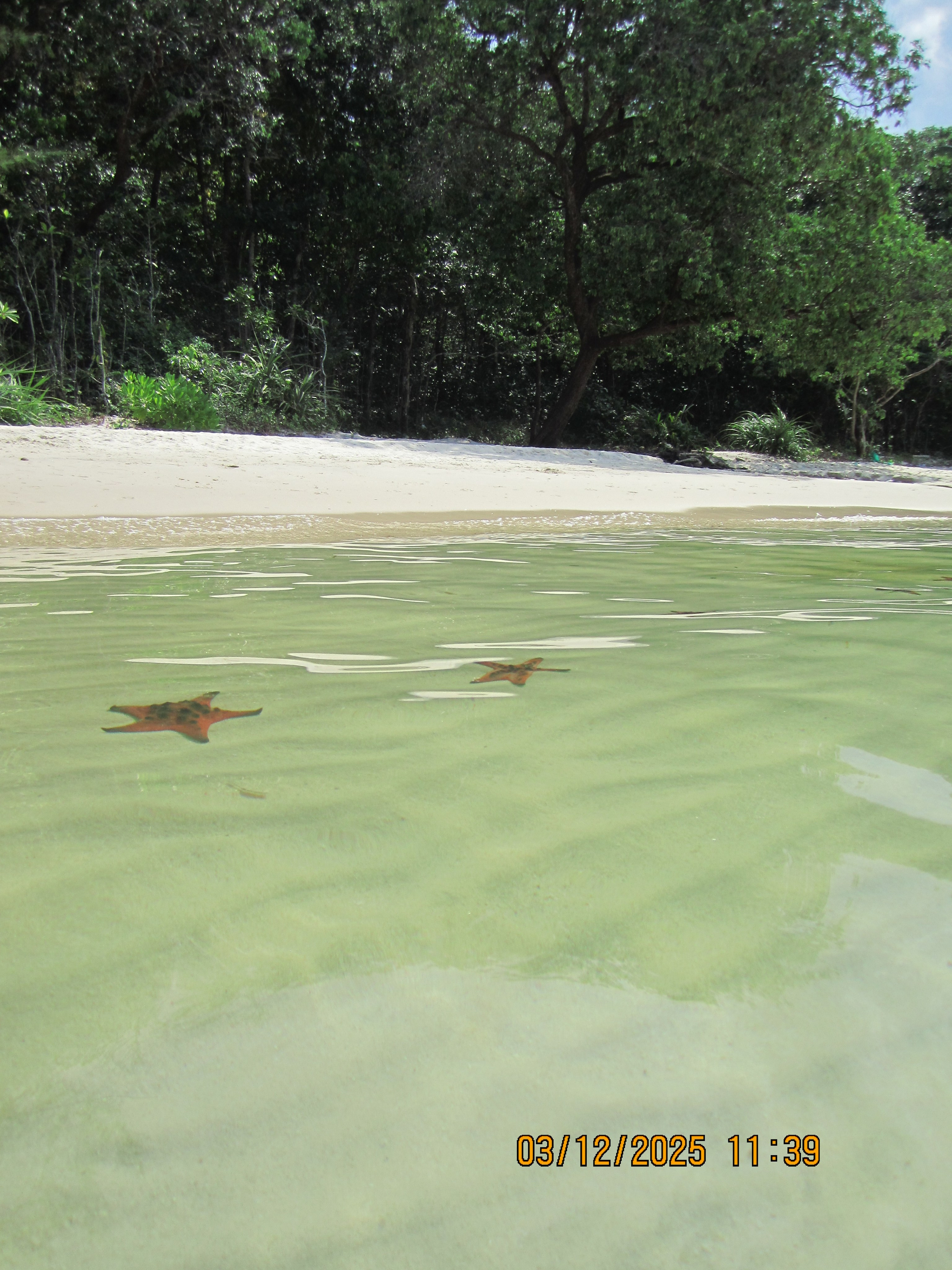 Üheksas päev. LondoSpeed Photography