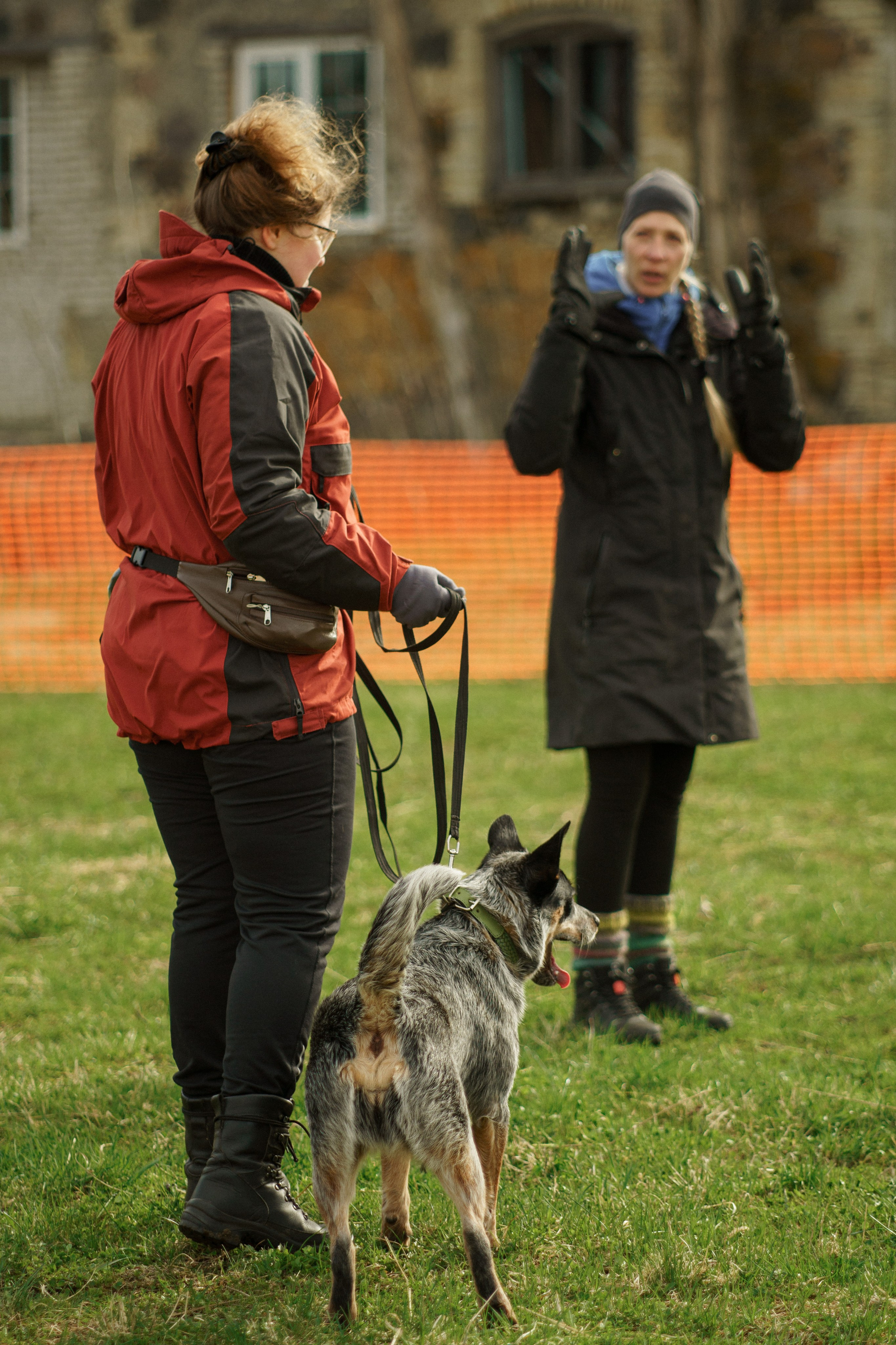 Herding Days, 26 apr. 2025. Kat Laisaar — Pet photographer in Tallinn