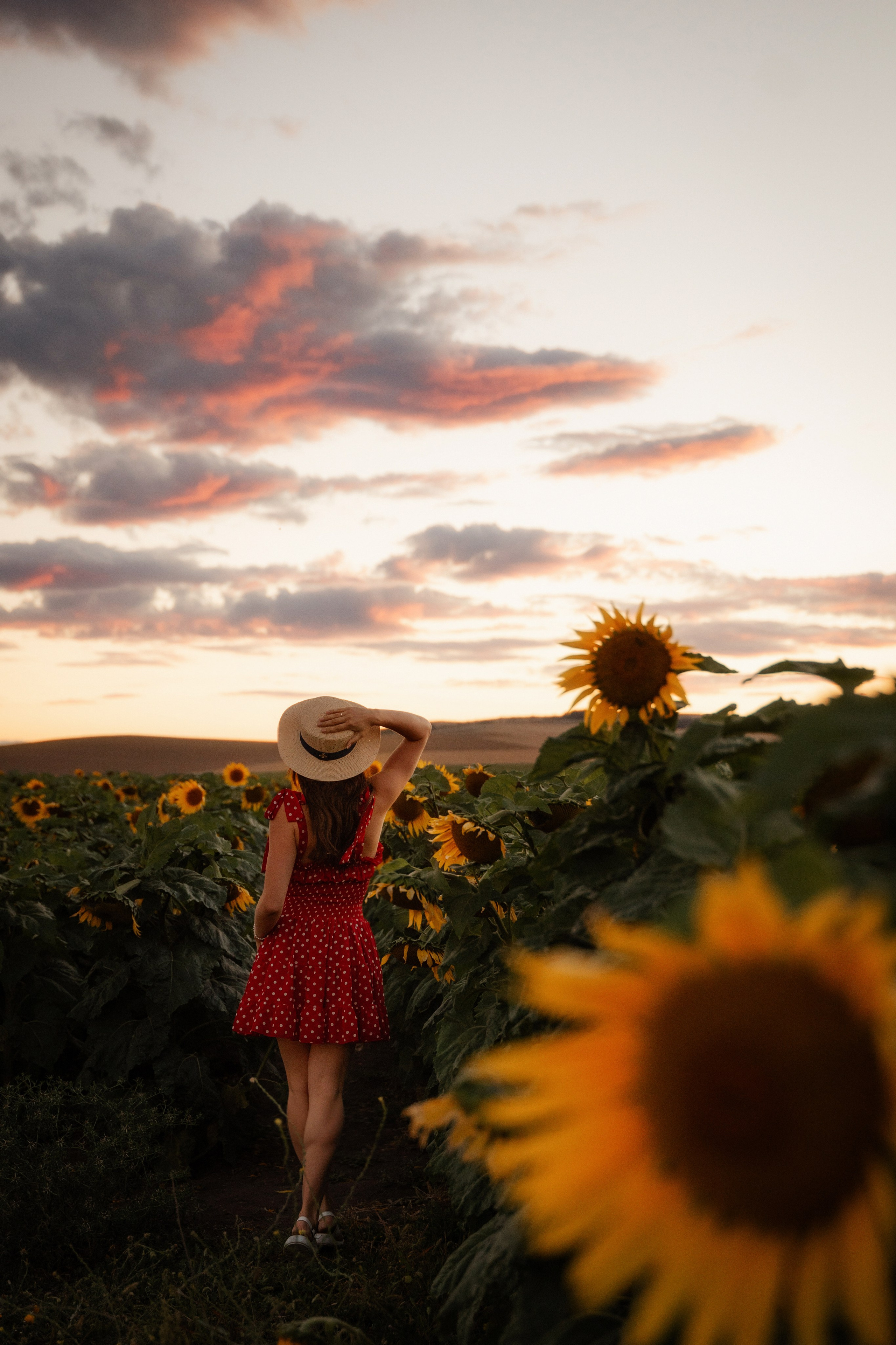 Elegant sunset portrait of a female model in a sunflower field, photographed by Marbella portrait photographer