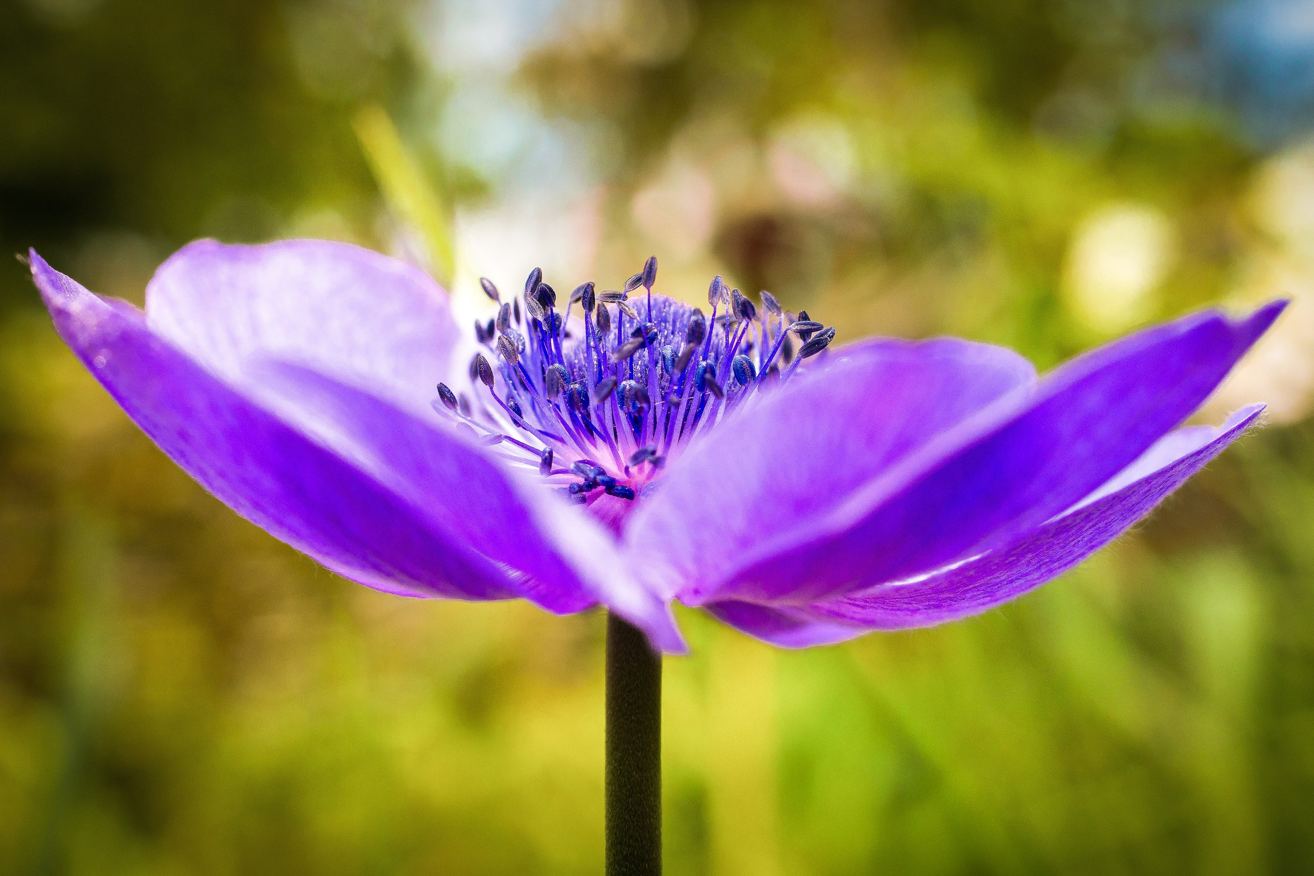 Portret bebeluș la botez realizat de Mitroi Iulian