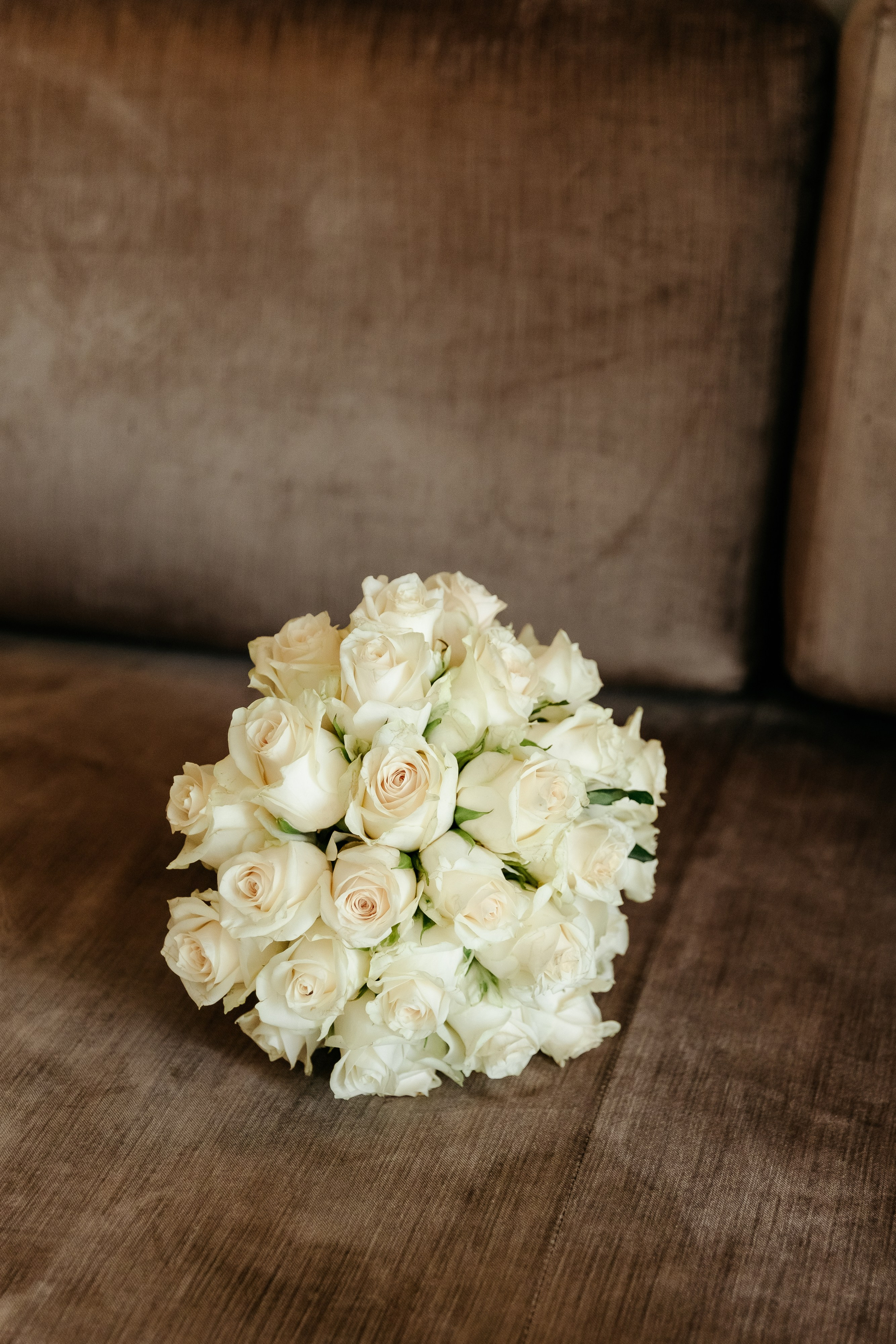 Аліна та Давид. Ірина Терещук