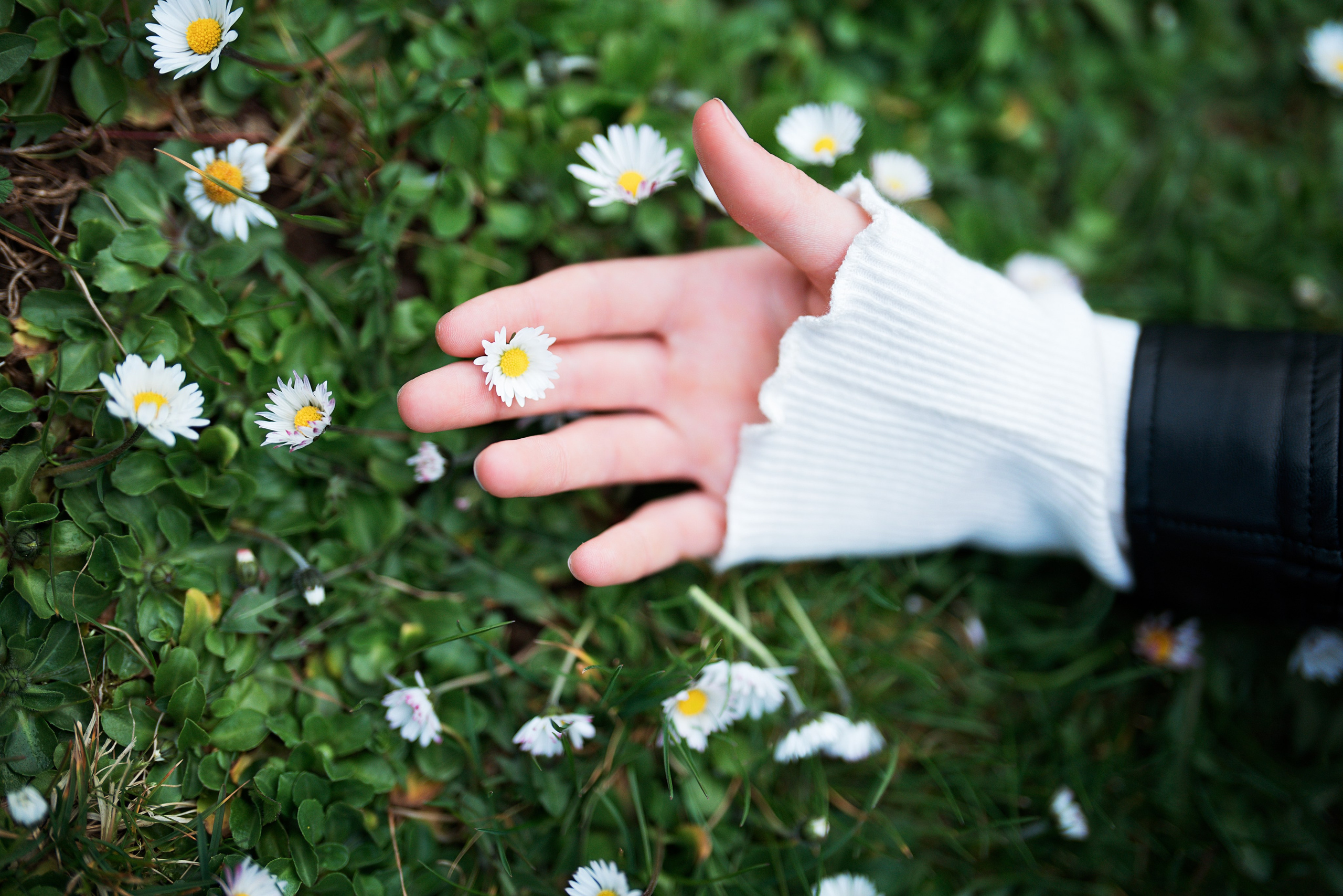Zwischen Gänseblümchen. Familien, Portrait und Konzeptualfotografie in Genf, Schweiz