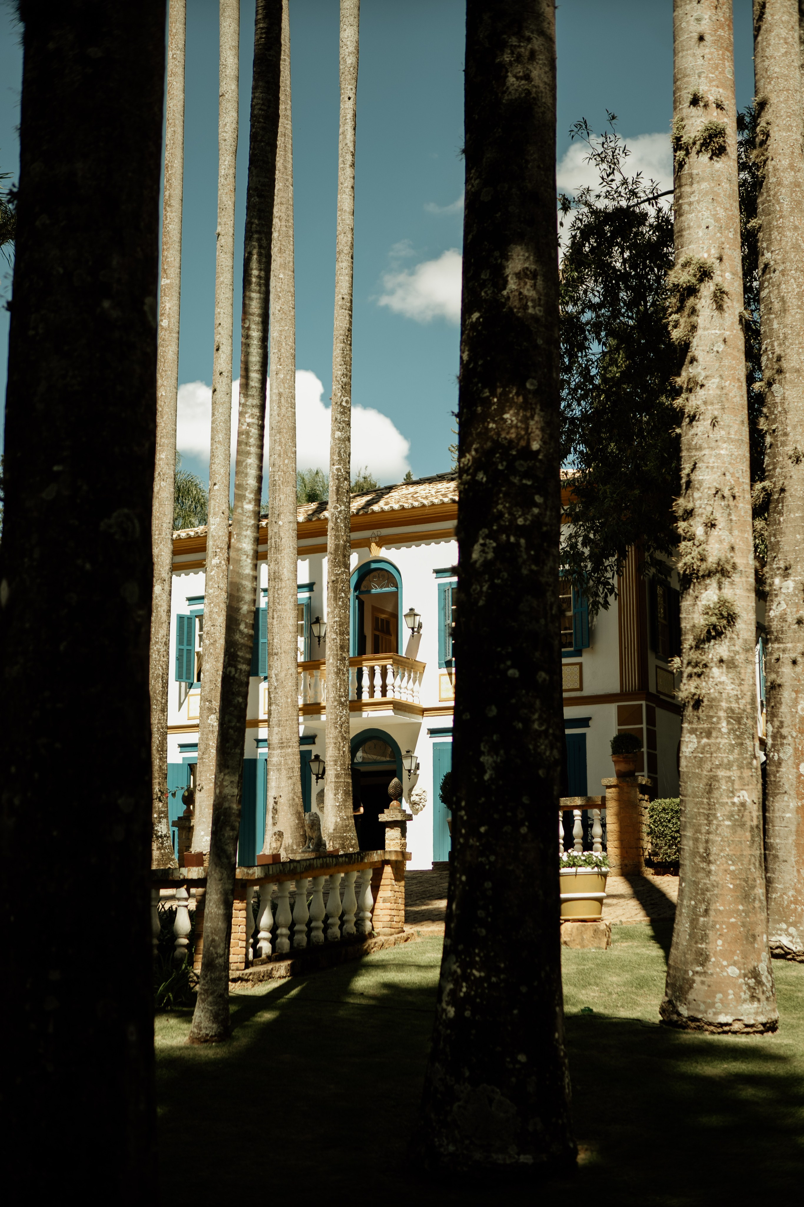 Johanna & Felipe. Congiu Wedding