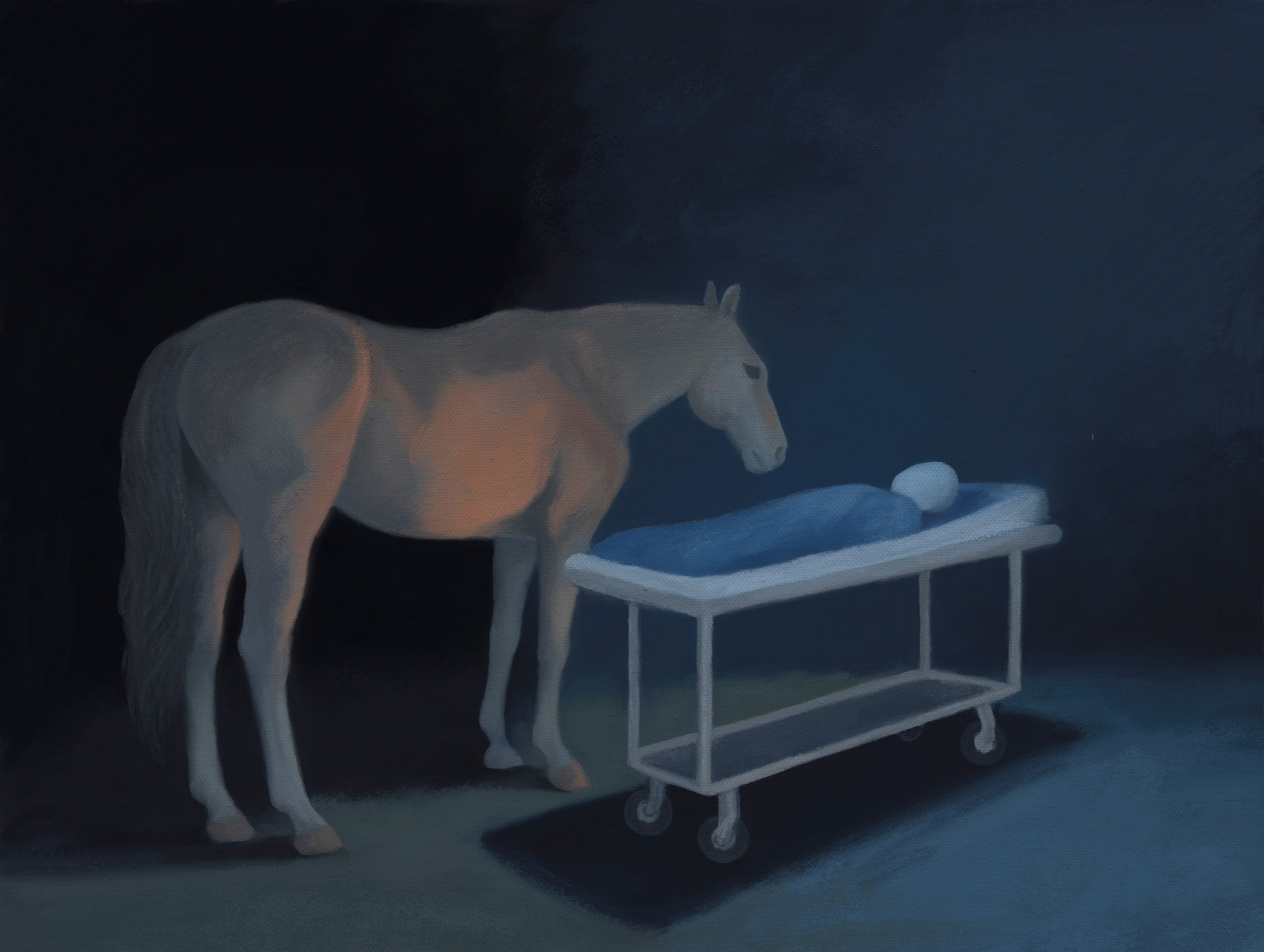 Horse Hospital. Marina Antonova