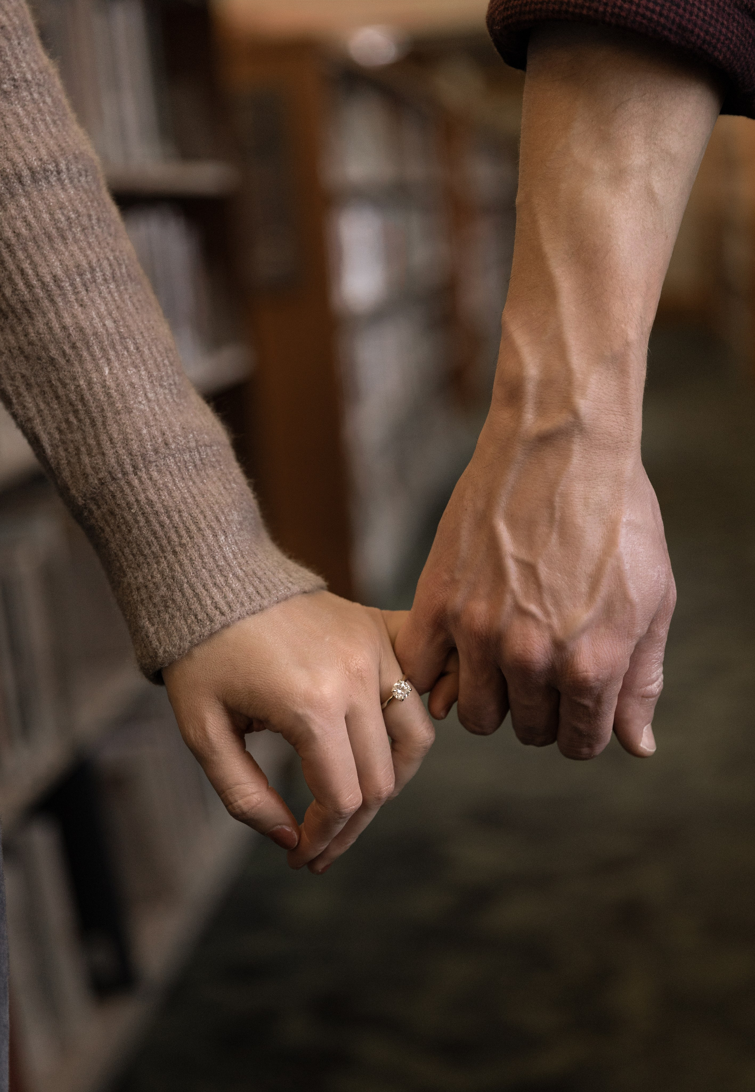 Library Portland. Family and Wedding photographer