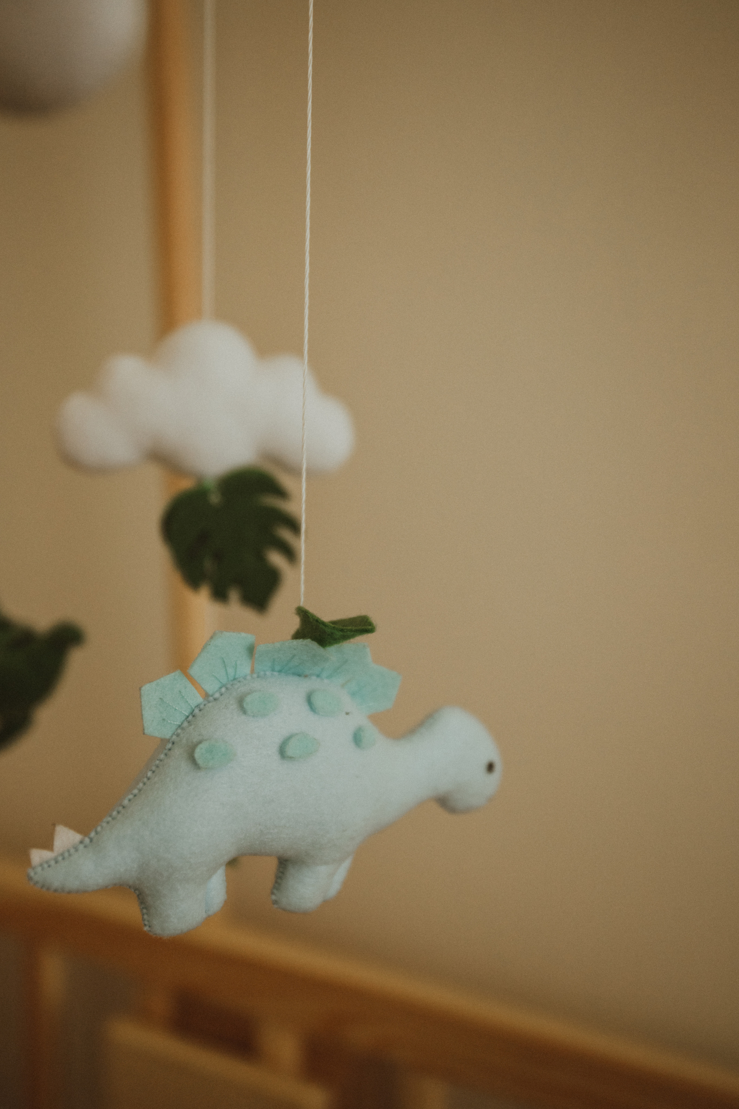 ALESIA DIMA MIRON. Fotograf Mykhalchuk Inna Kraków