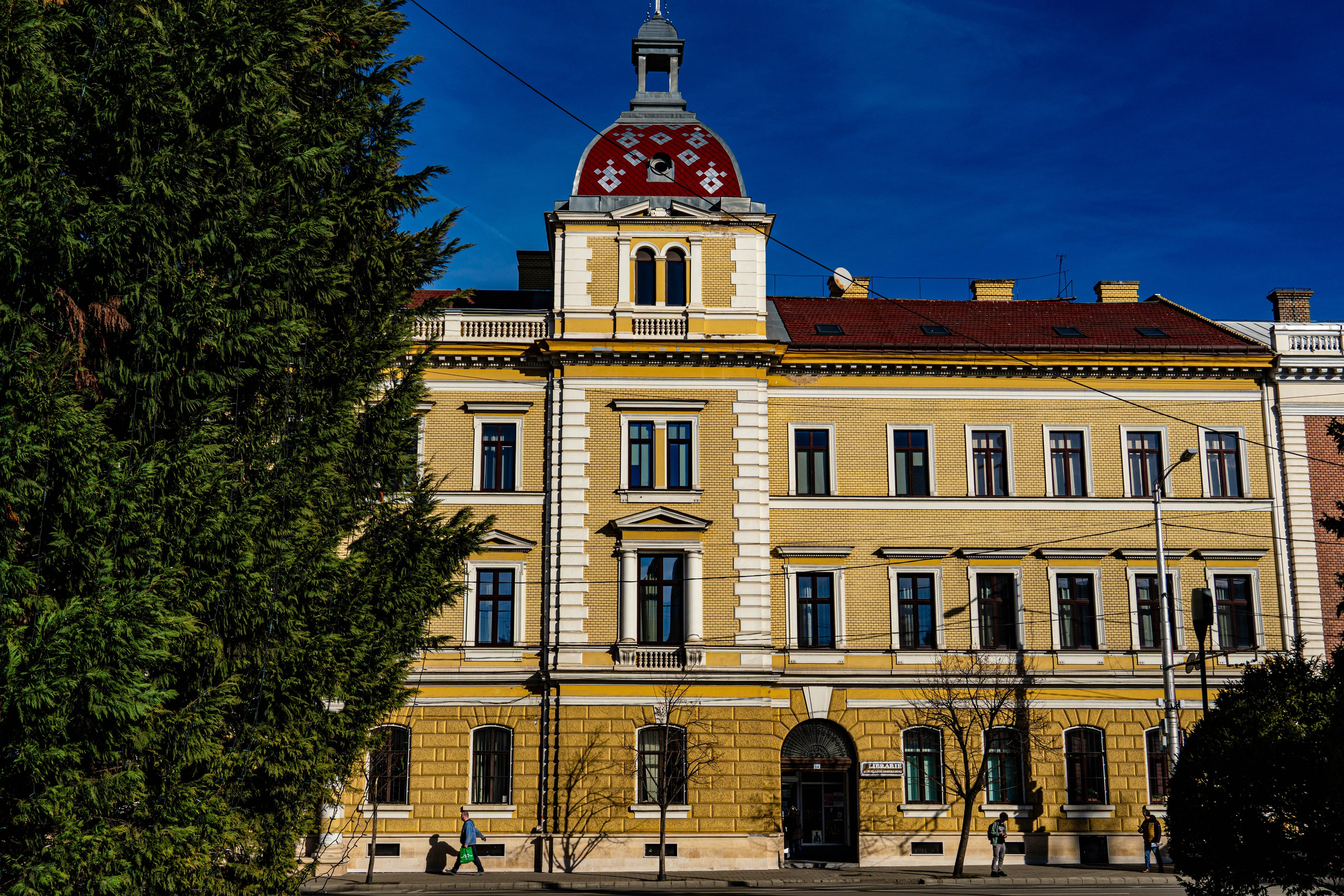 Alecsandru Braicu — Sports Photographer